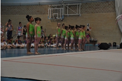 Exhibicion club ritmica Alfaro junio 18 245