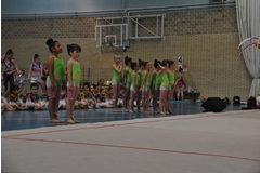 Exhibicion club ritmica Alfaro junio 18 246