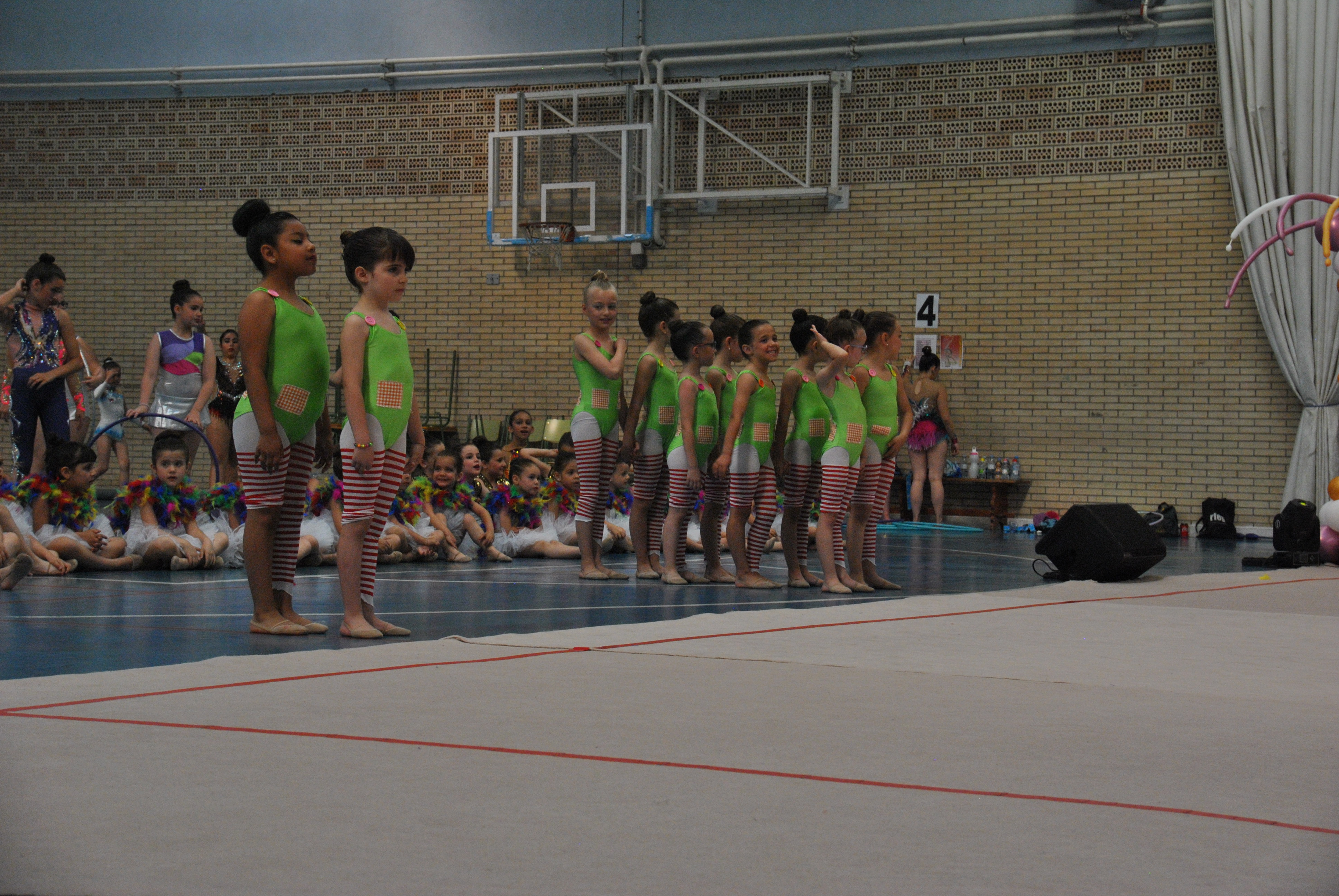 Exhibicion club ritmica Alfaro junio 18 246