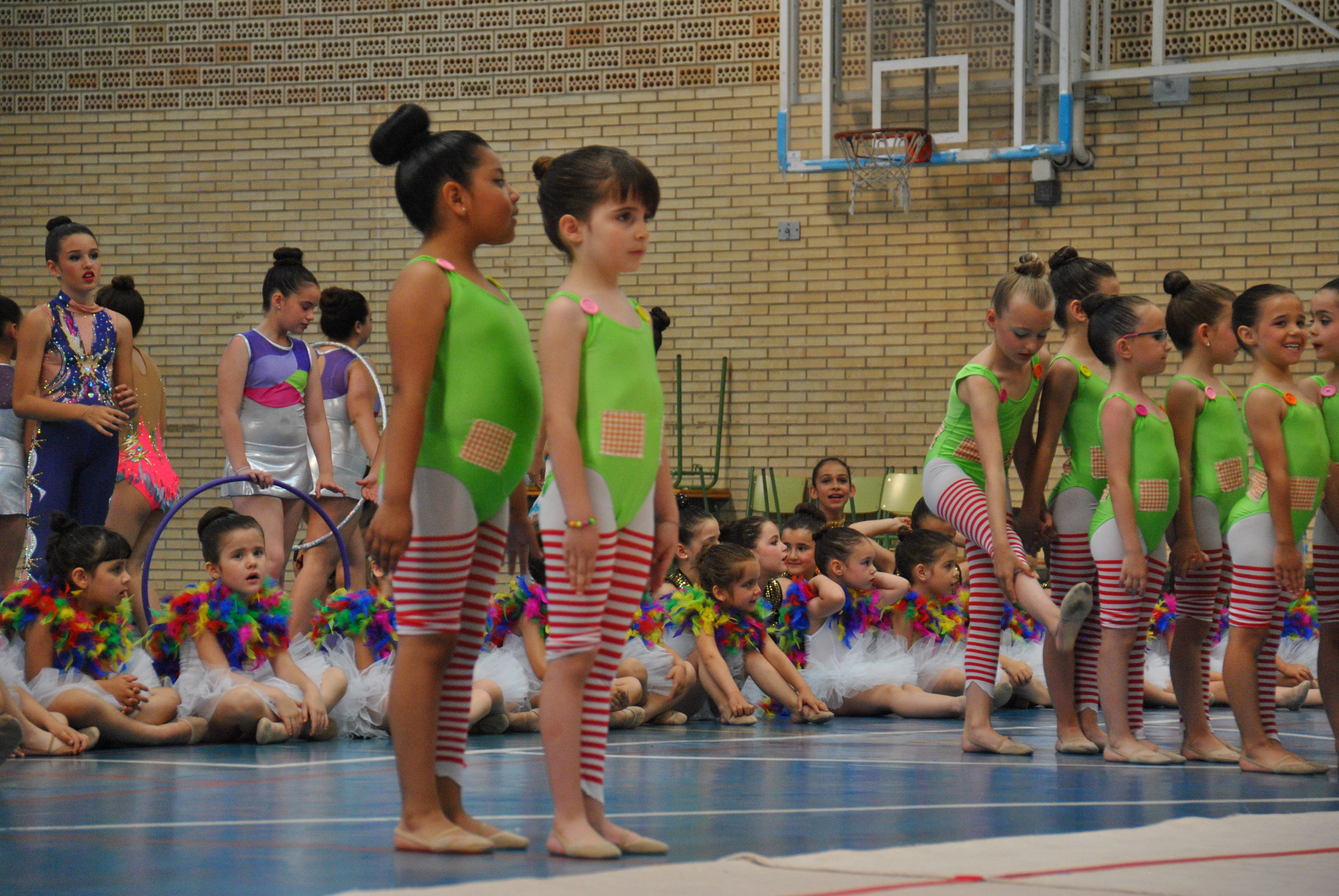 Exhibicion club ritmica Alfaro junio 18 247