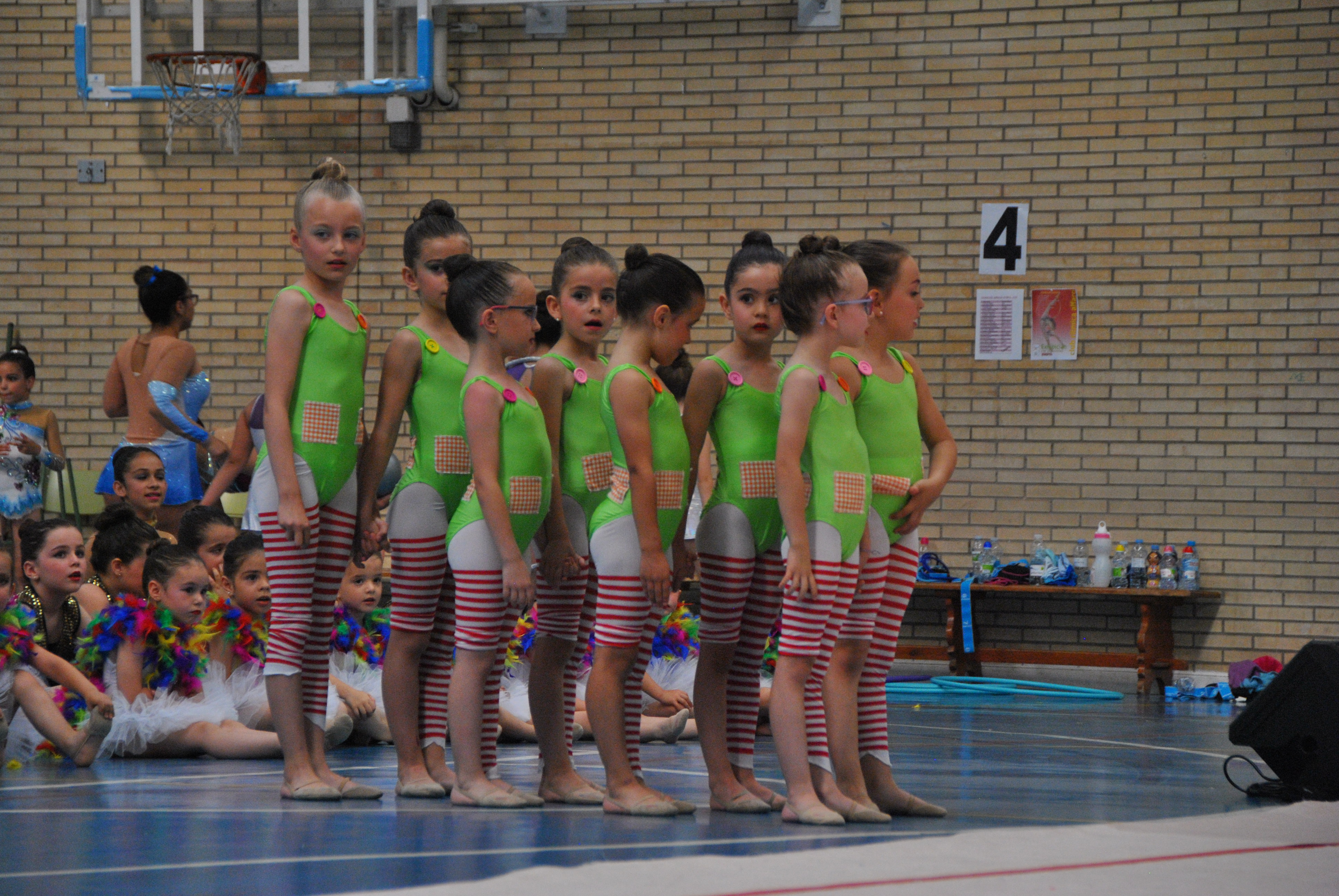 Exhibicion club ritmica Alfaro junio 18 249