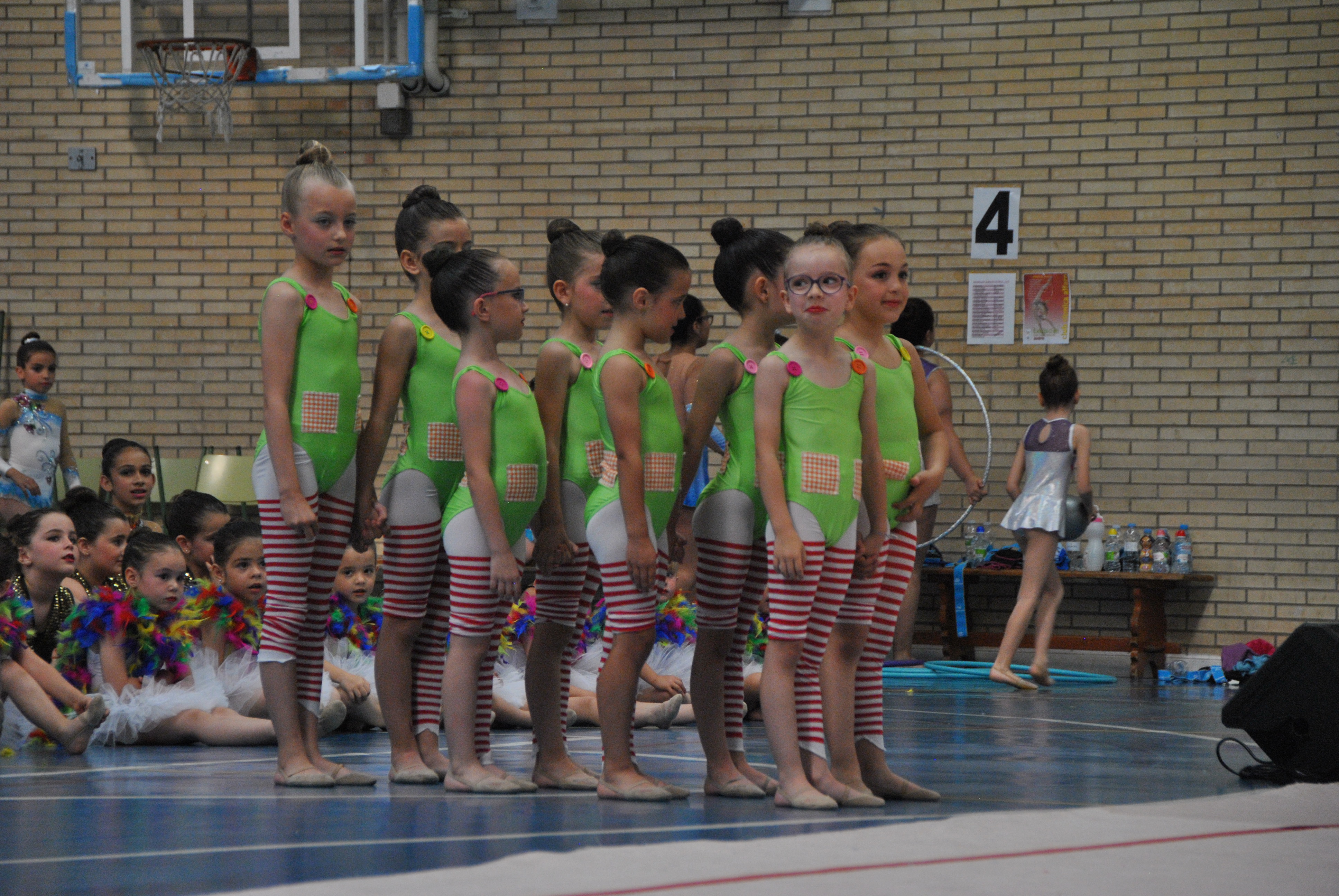 Exhibicion club ritmica Alfaro junio 18 251