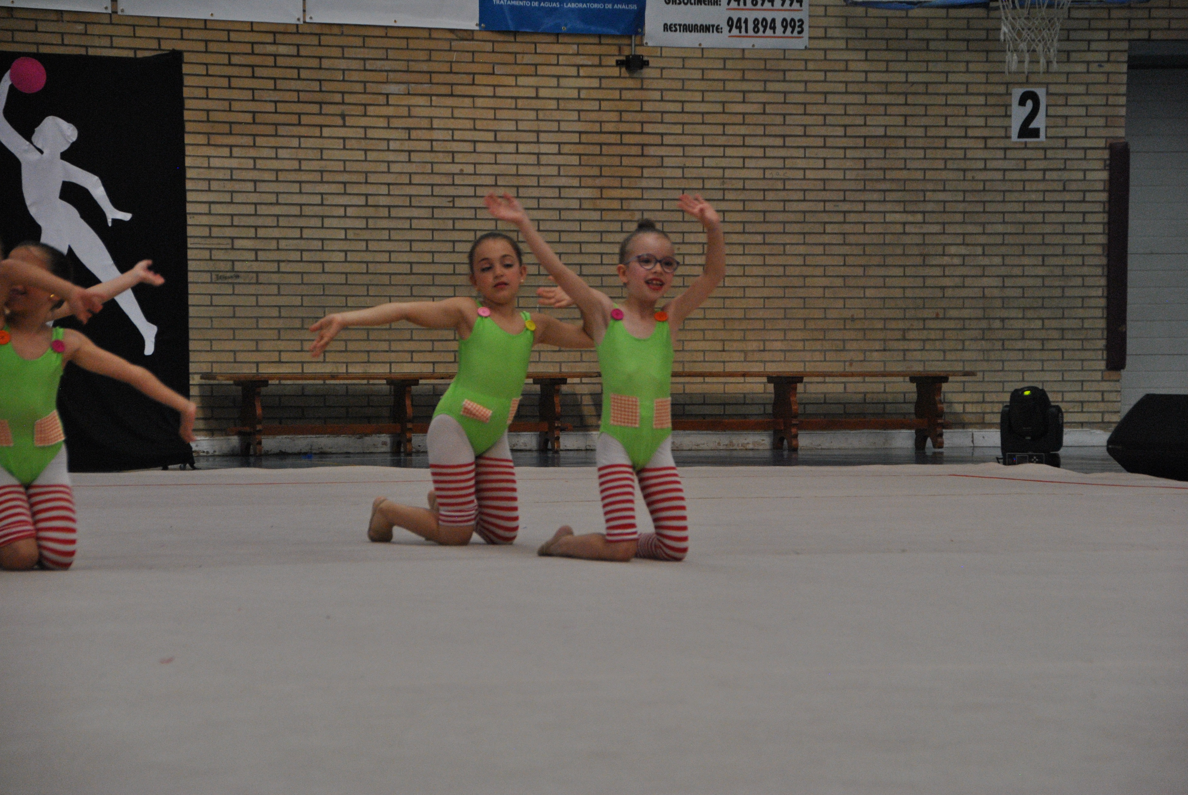 Exhibicion club ritmica Alfaro junio 18 253