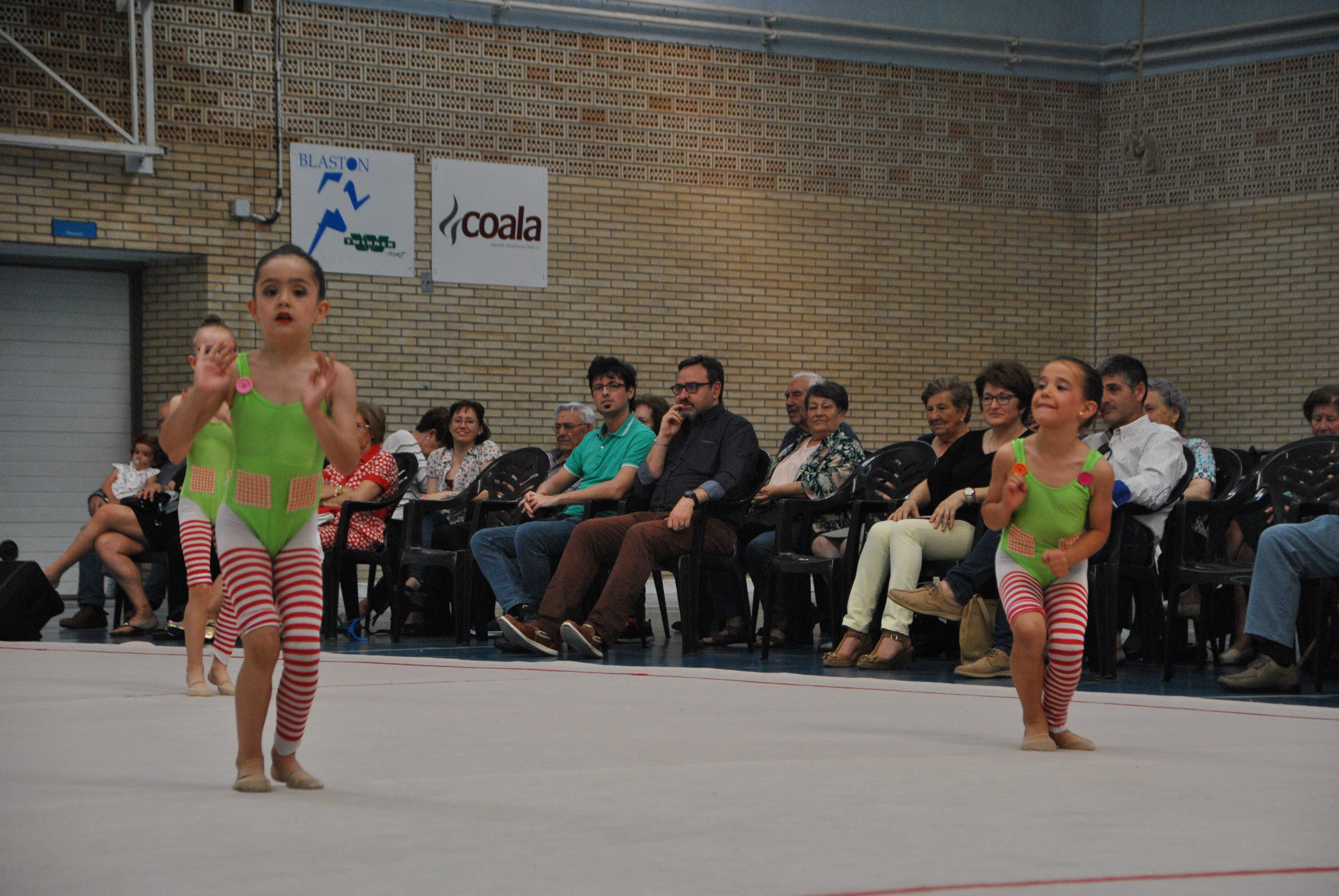 Exhibicion club ritmica Alfaro junio 18 263