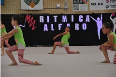 Exhibicion club ritmica Alfaro junio 18 265