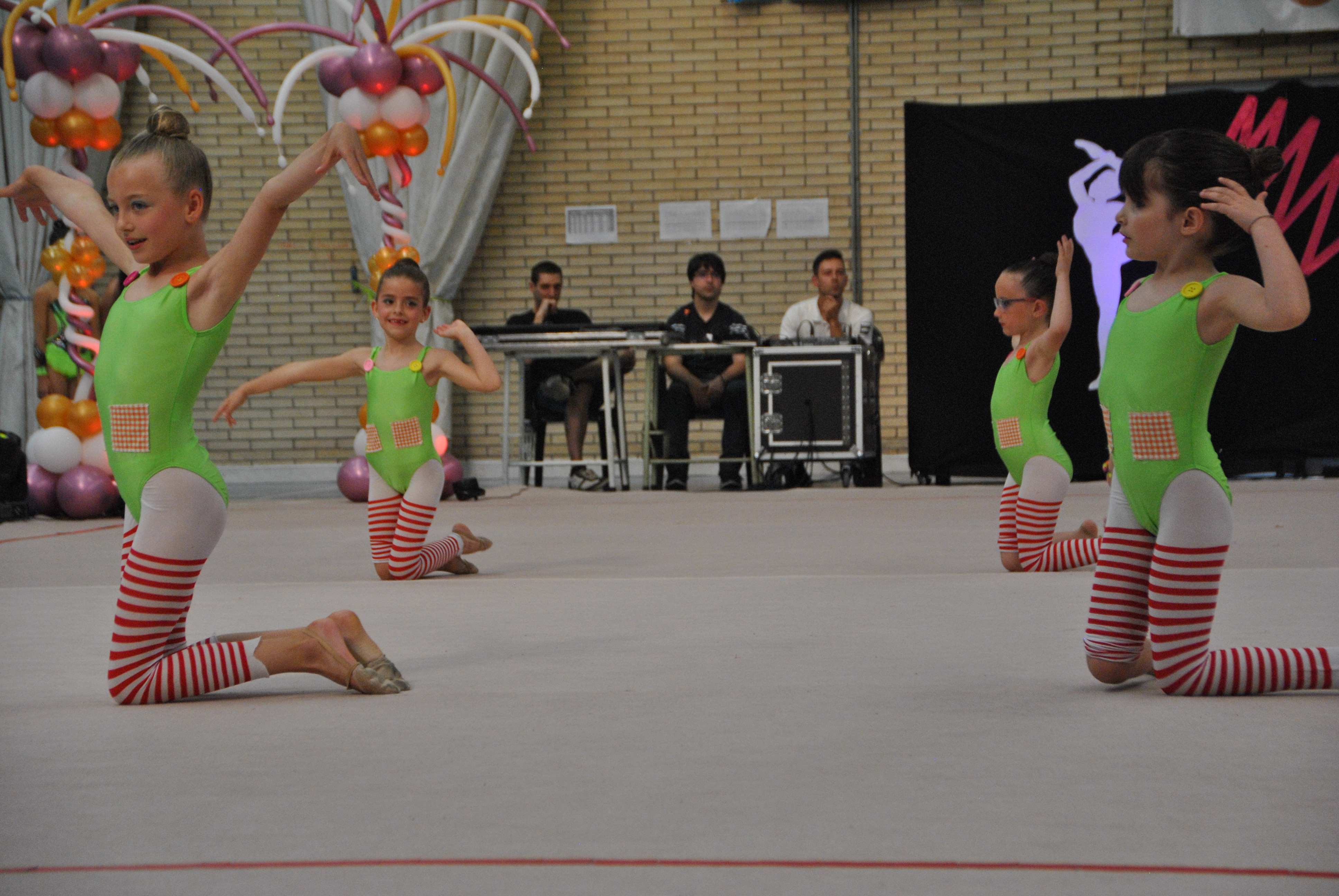 Exhibicion club ritmica Alfaro junio 18 266