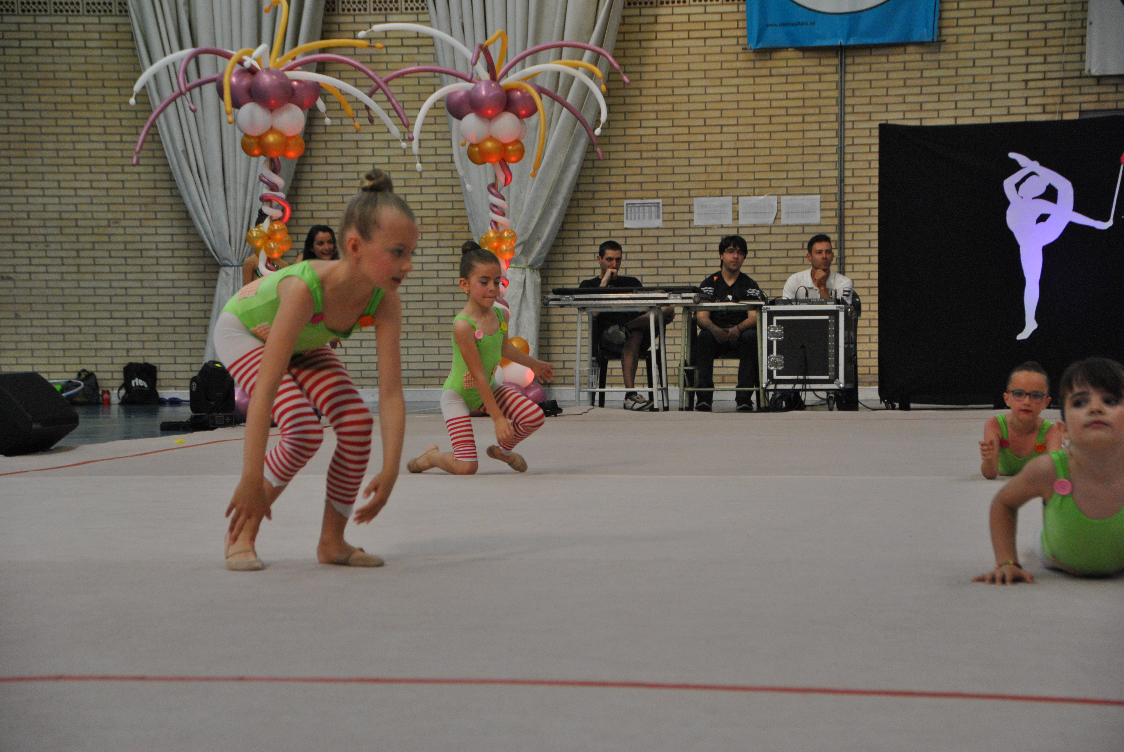 Exhibicion club ritmica Alfaro junio 18 267