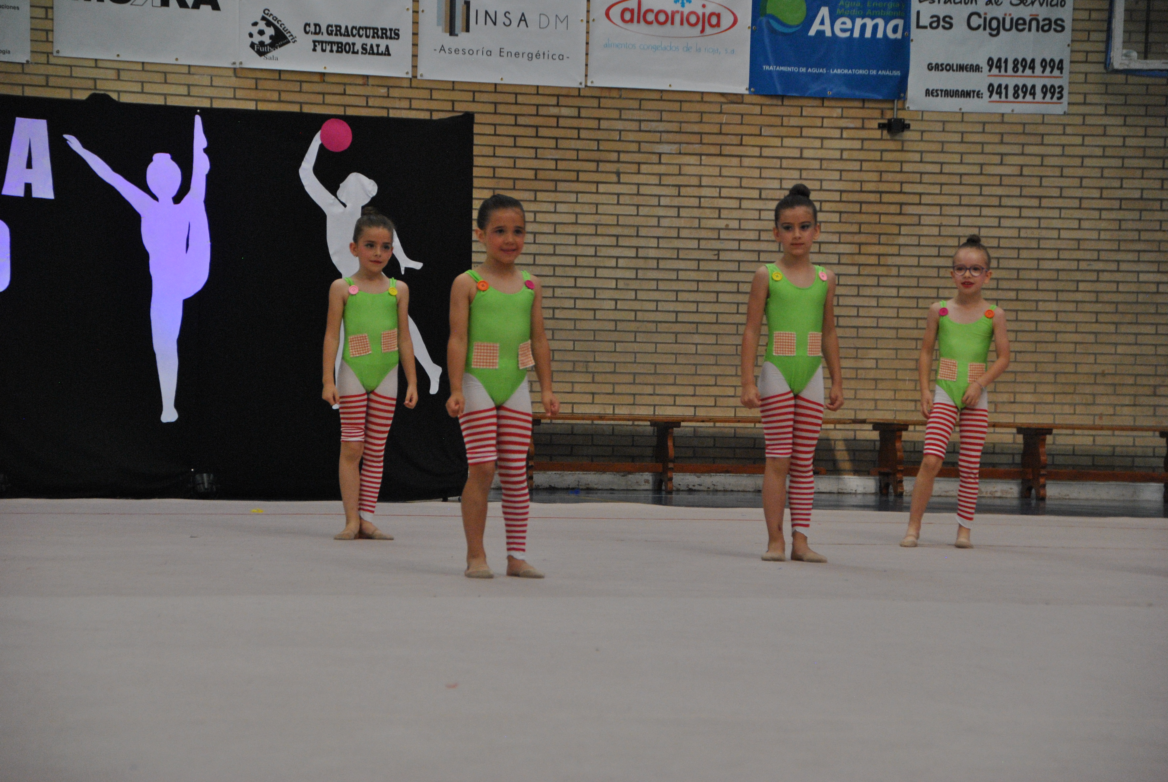 Exhibicion club ritmica Alfaro junio 18 274