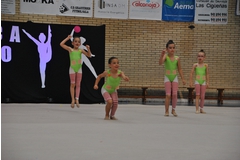 Exhibicion club ritmica Alfaro junio 18 275