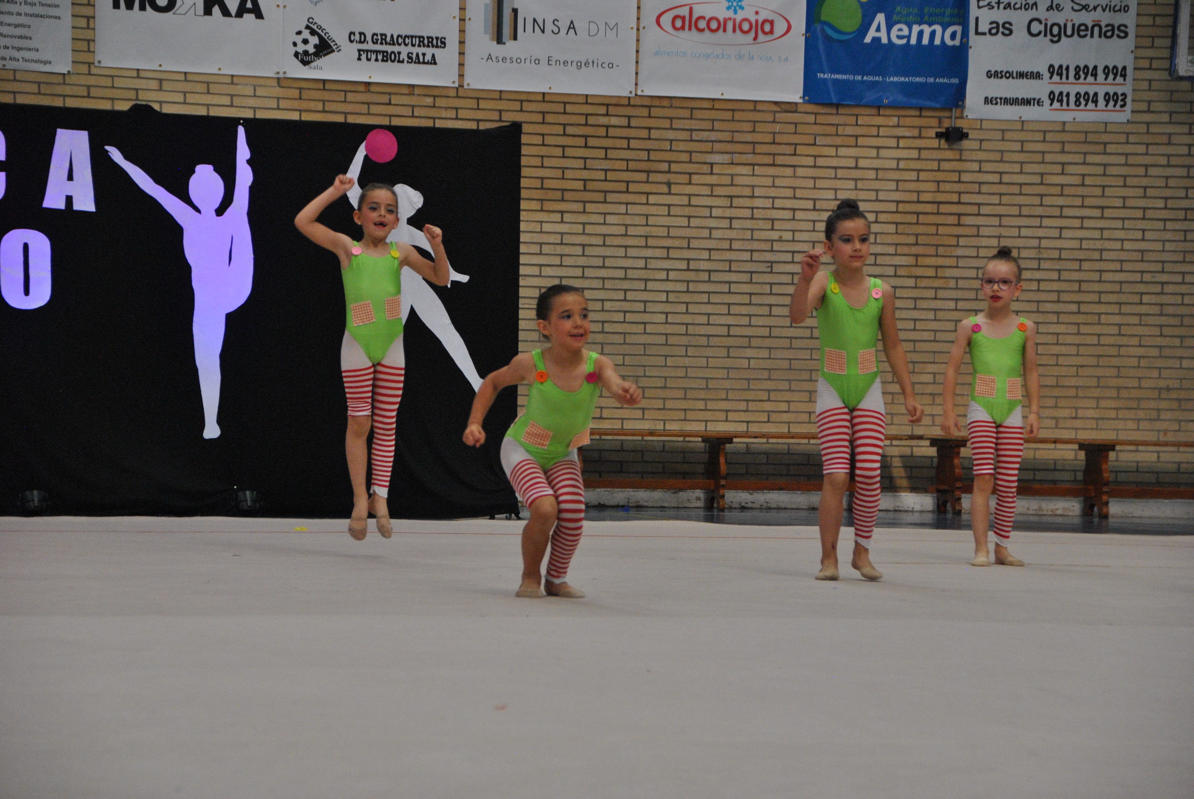 Exhibicion club ritmica Alfaro junio 18 275