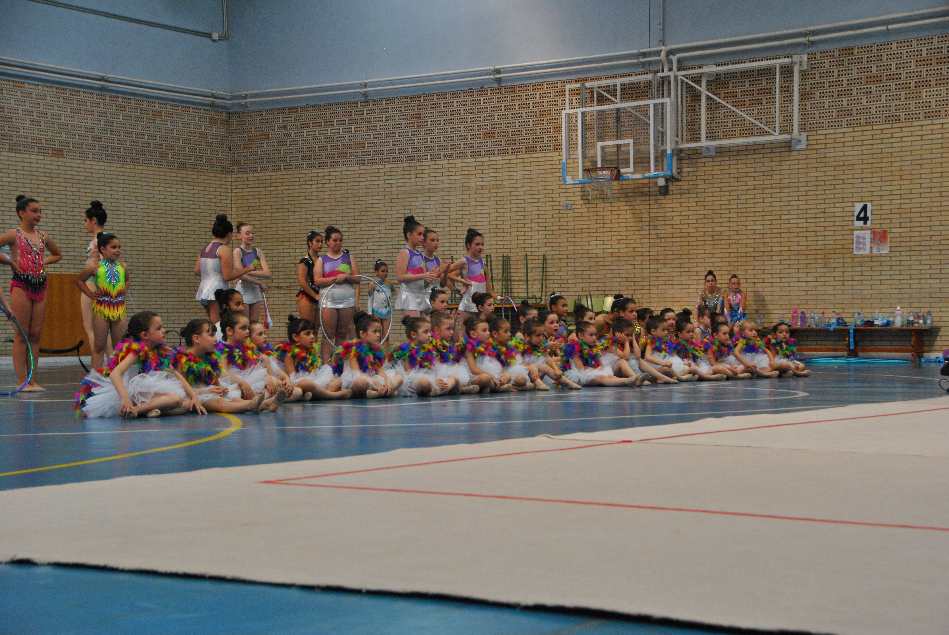 Exhibicion club ritmica Alfaro junio 18 279