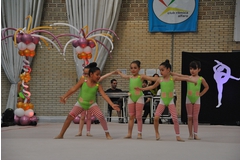 Exhibicion club ritmica Alfaro junio 18 282