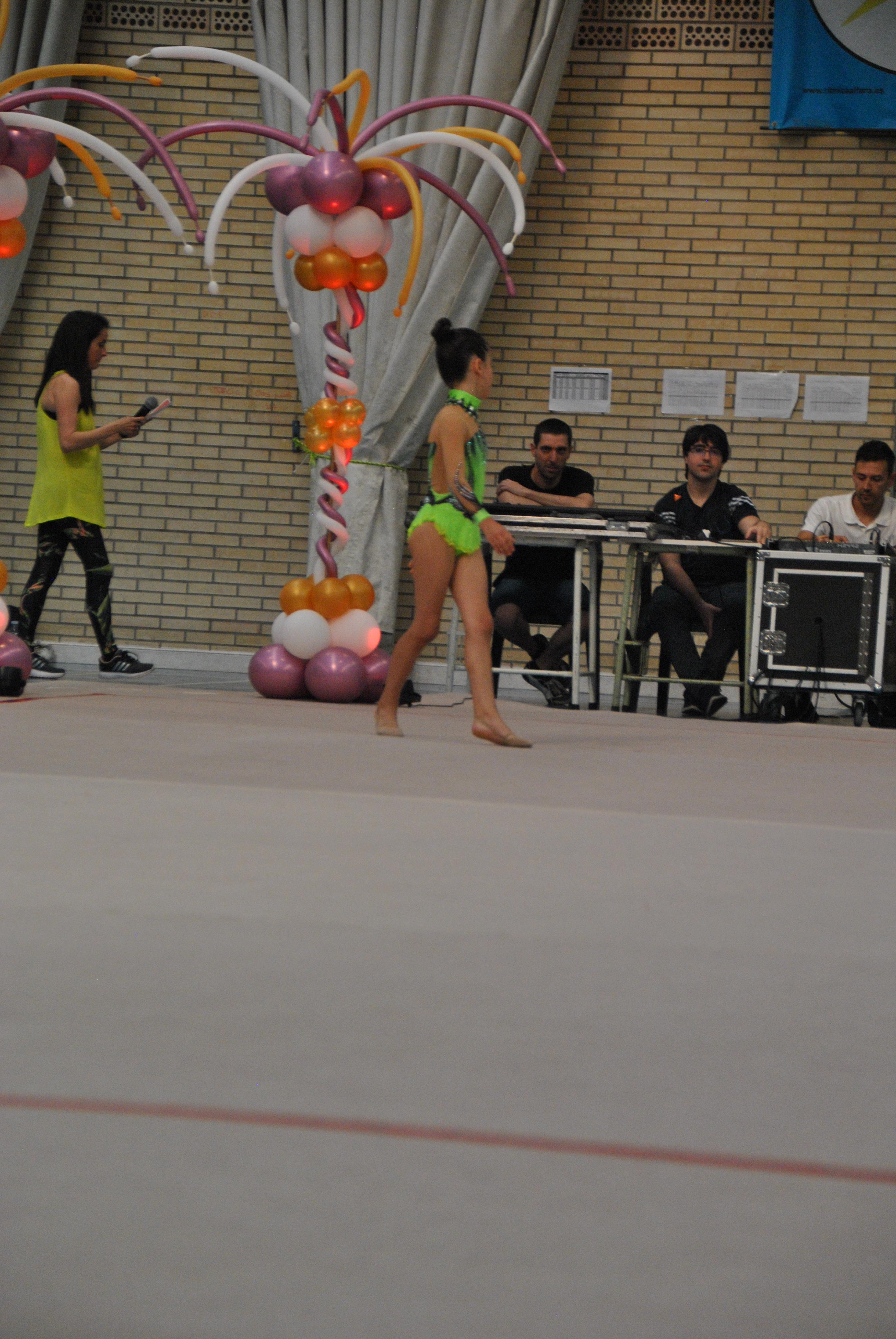 Exhibicion club ritmica Alfaro junio 18 288