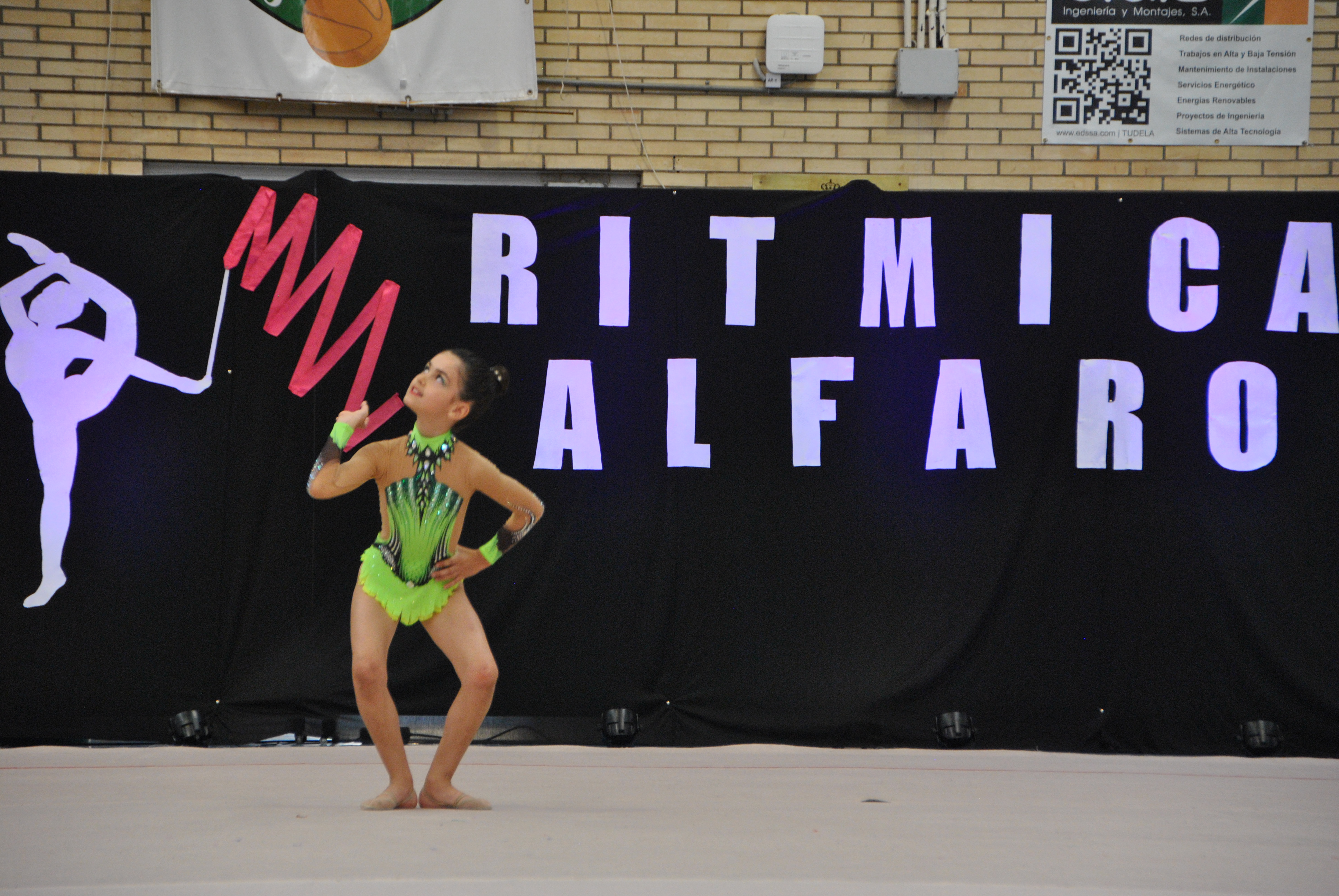 Exhibicion club ritmica Alfaro junio 18 289