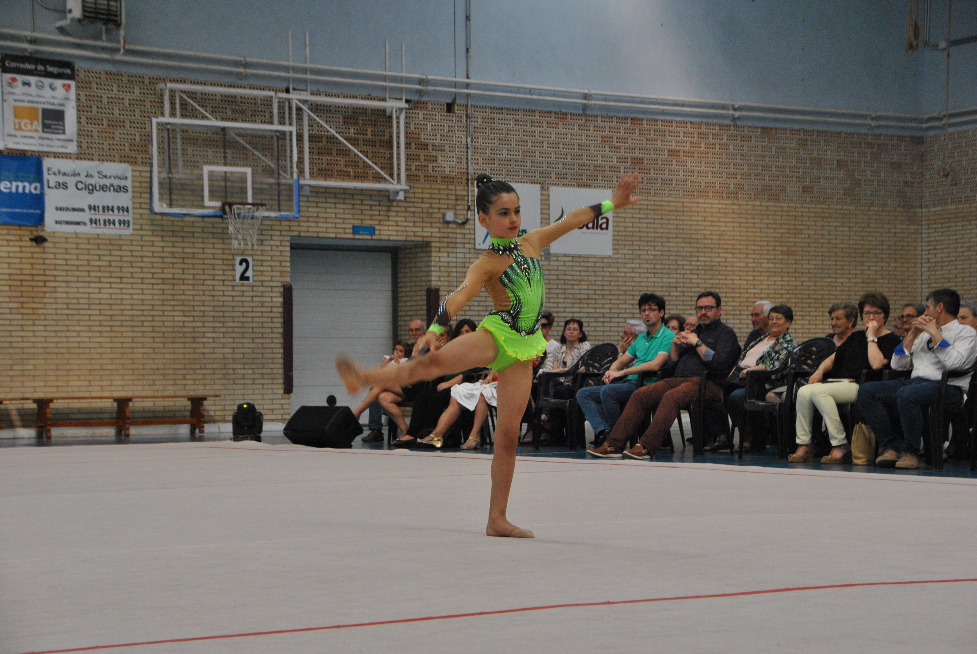 Exhibicion club ritmica Alfaro junio 18 293