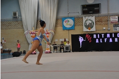 Exhibicion club ritmica Alfaro junio 18 304