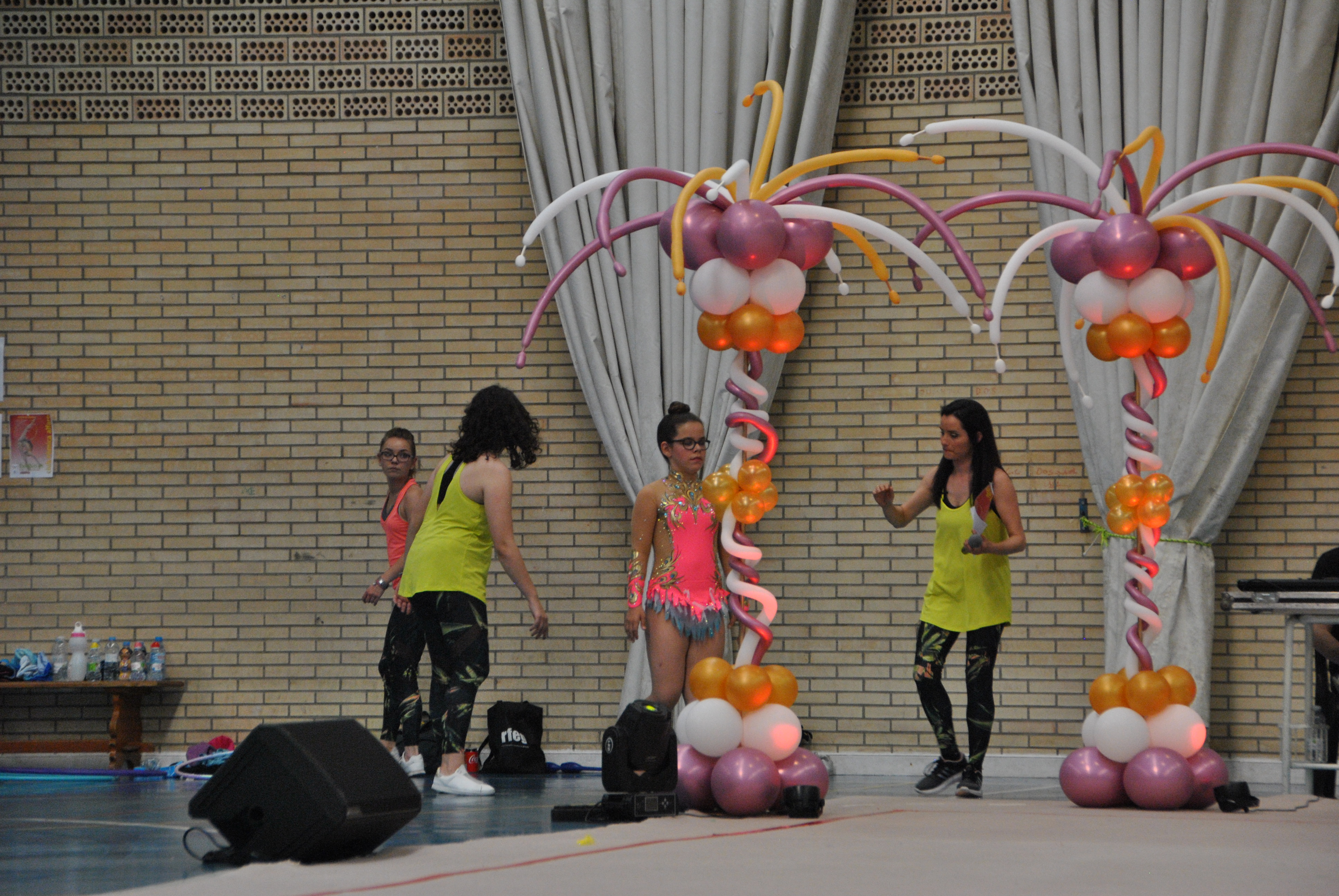 Exhibicion club ritmica Alfaro junio 18 308