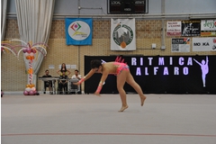 Exhibicion club ritmica Alfaro junio 18 323