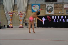 Exhibicion club ritmica Alfaro junio 18 324