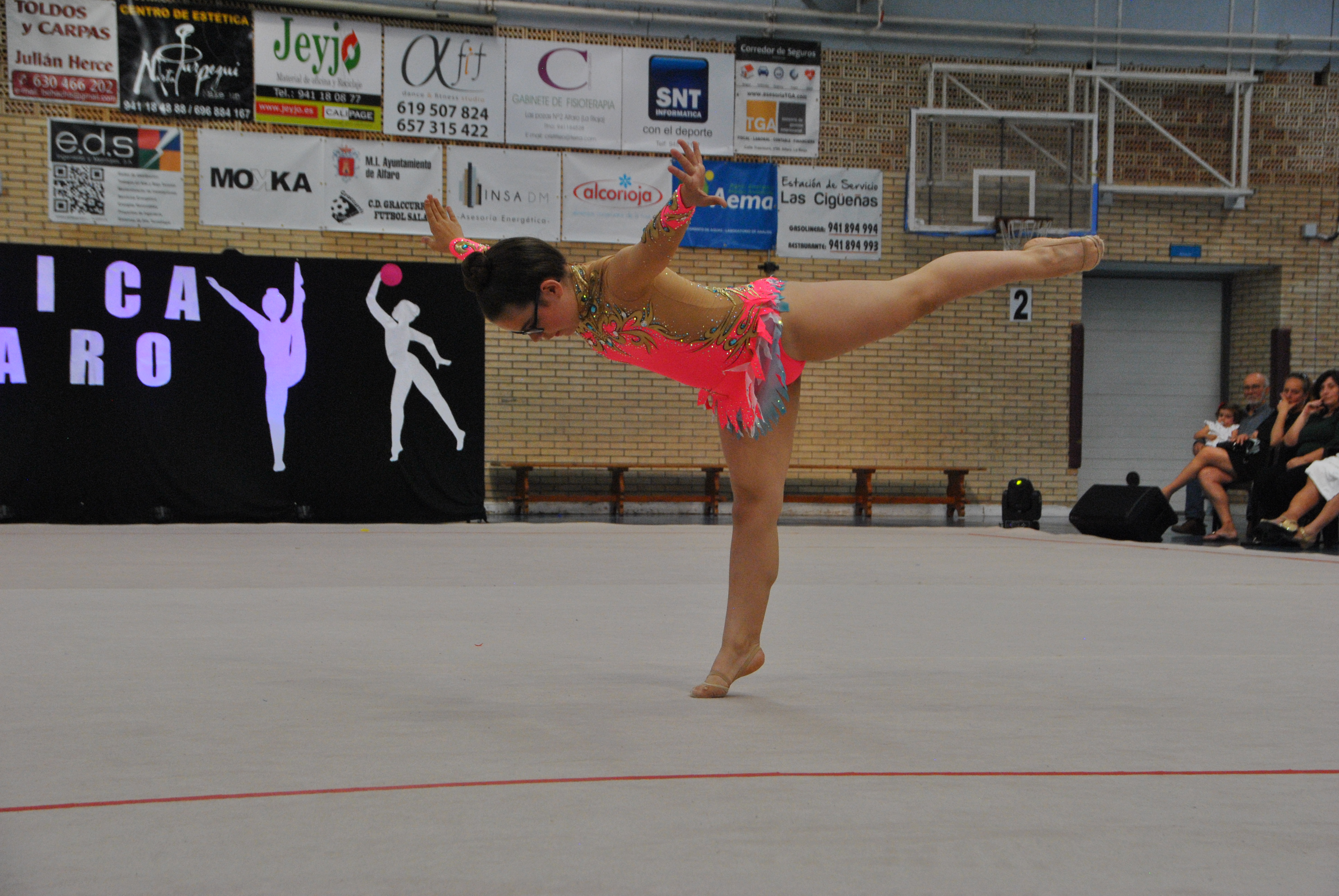 Exhibicion club ritmica Alfaro junio 18 331