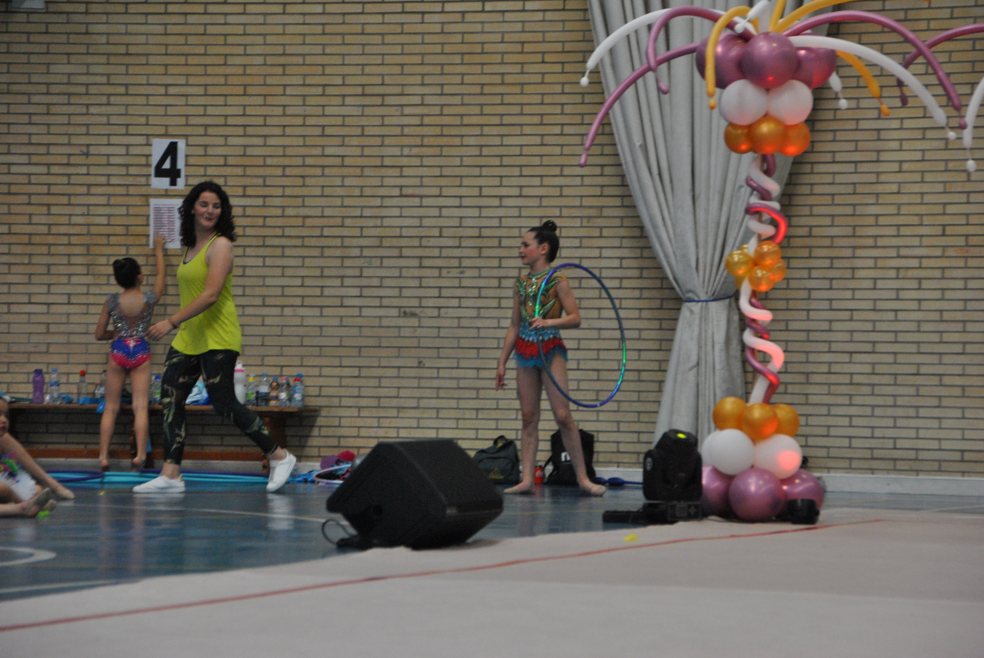 Exhibicion club ritmica Alfaro junio 18 332