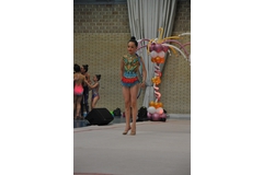 Exhibicion club ritmica Alfaro junio 18 341