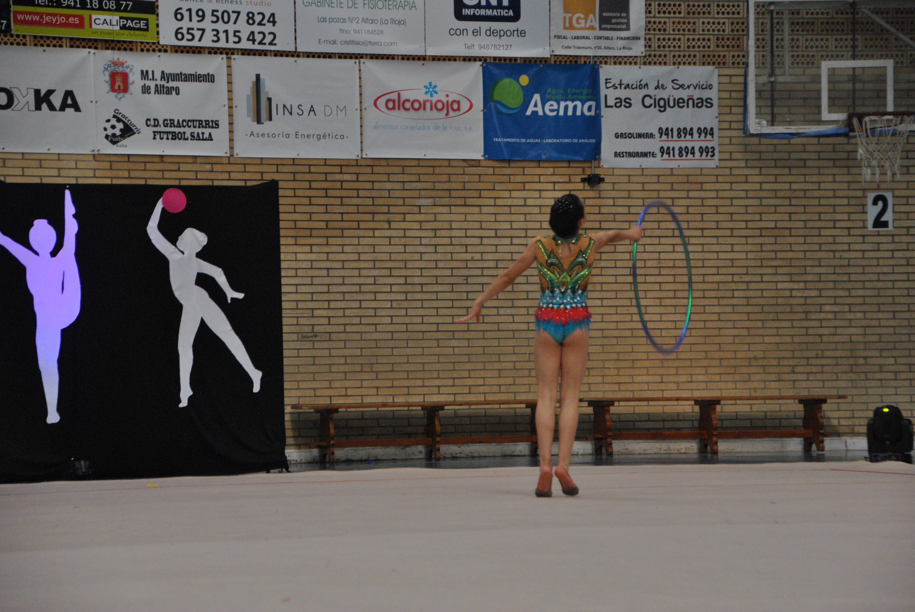 Exhibicion club ritmica Alfaro junio 18 361