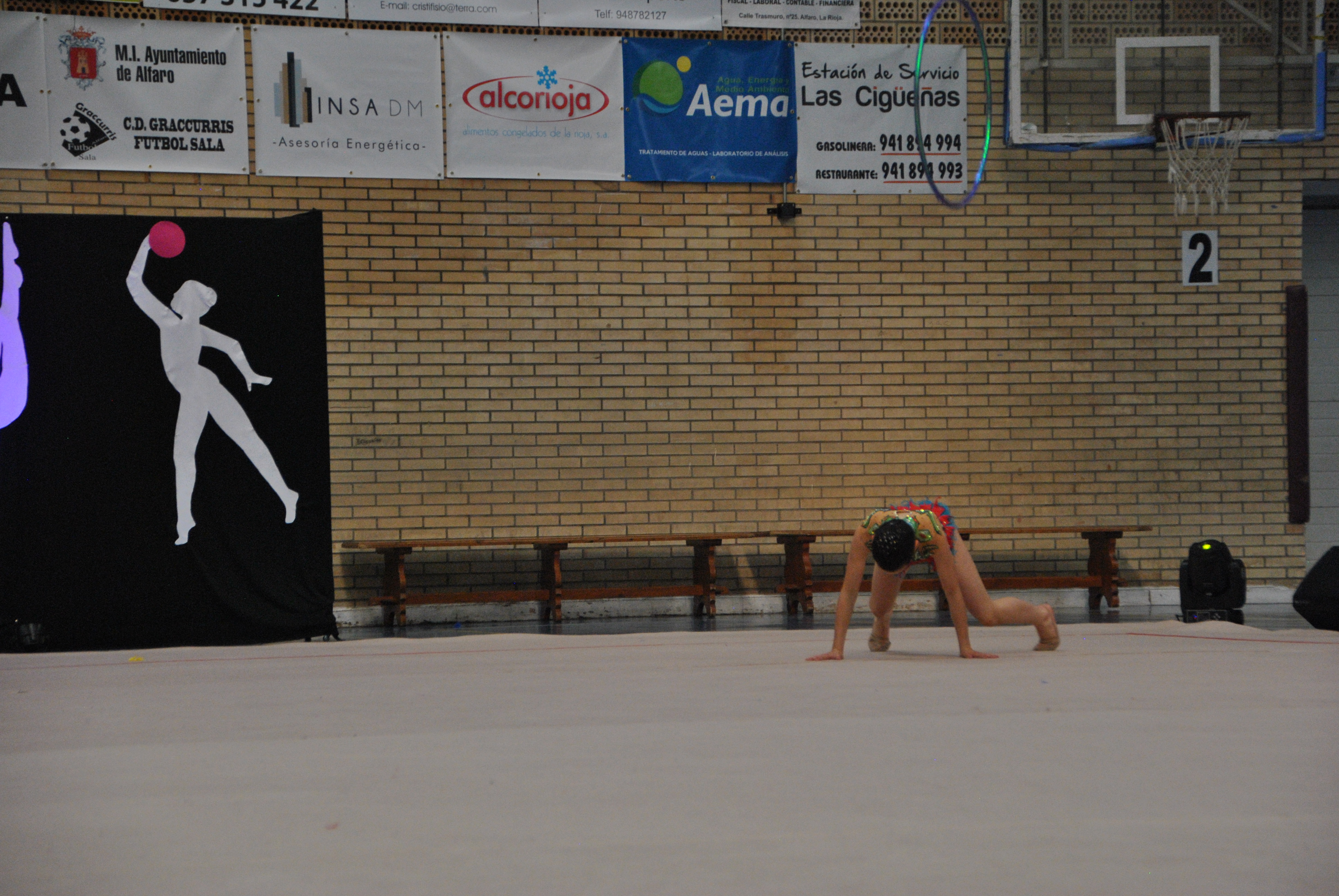 Exhibicion club ritmica Alfaro junio 18 362