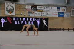 Exhibicion club ritmica Alfaro junio 18 369