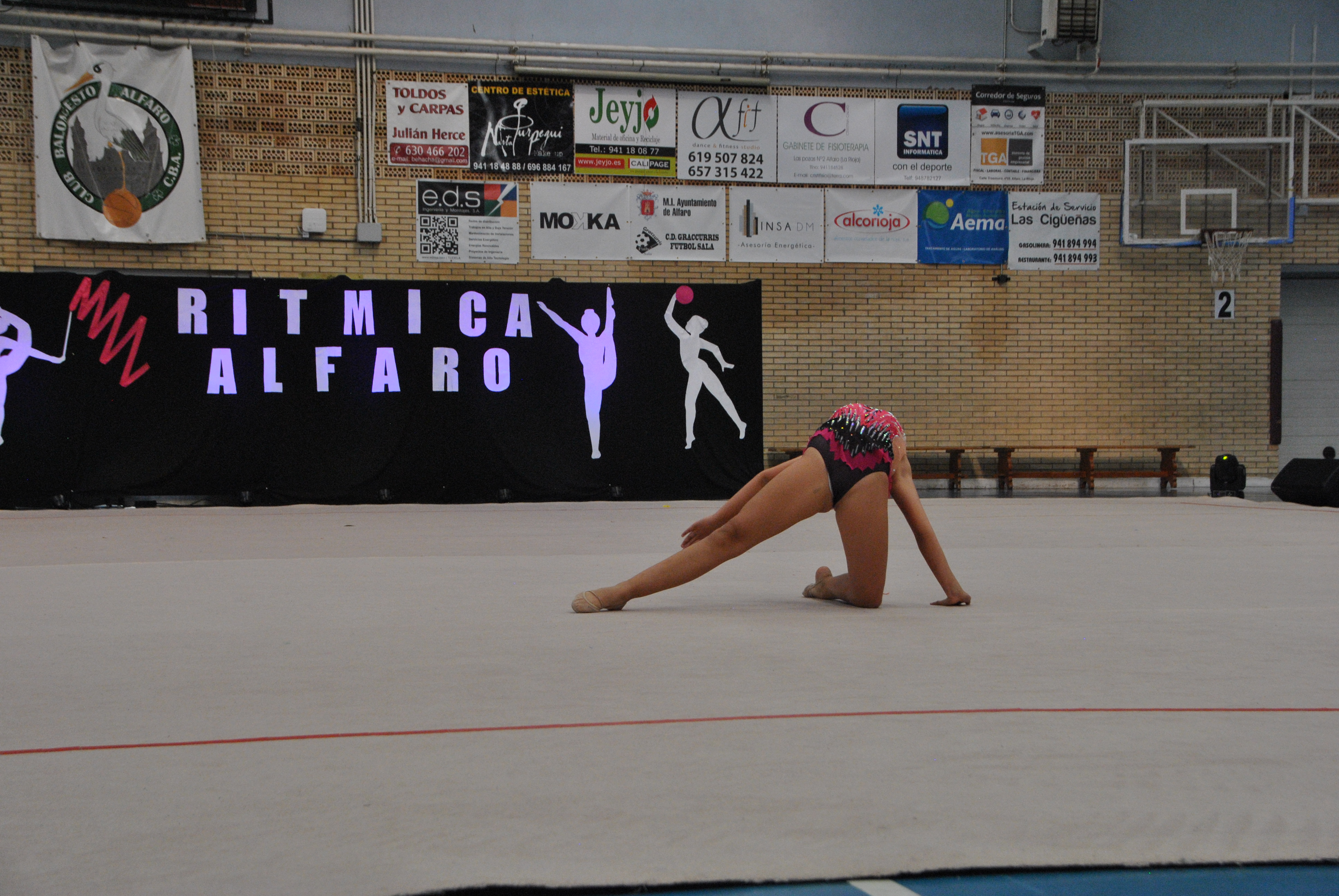 Exhibicion club ritmica Alfaro junio 18 377