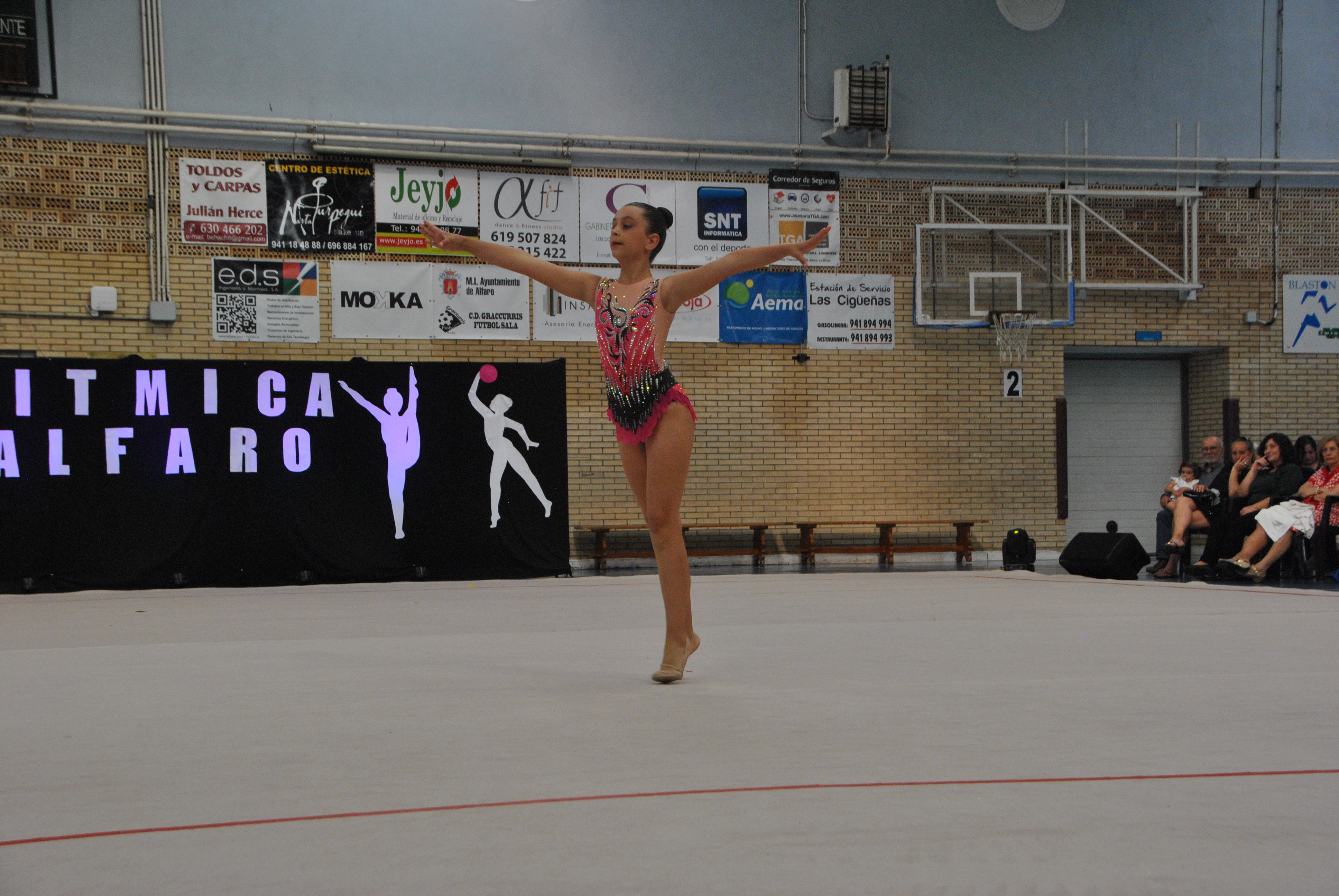 Exhibicion club ritmica Alfaro junio 18 379