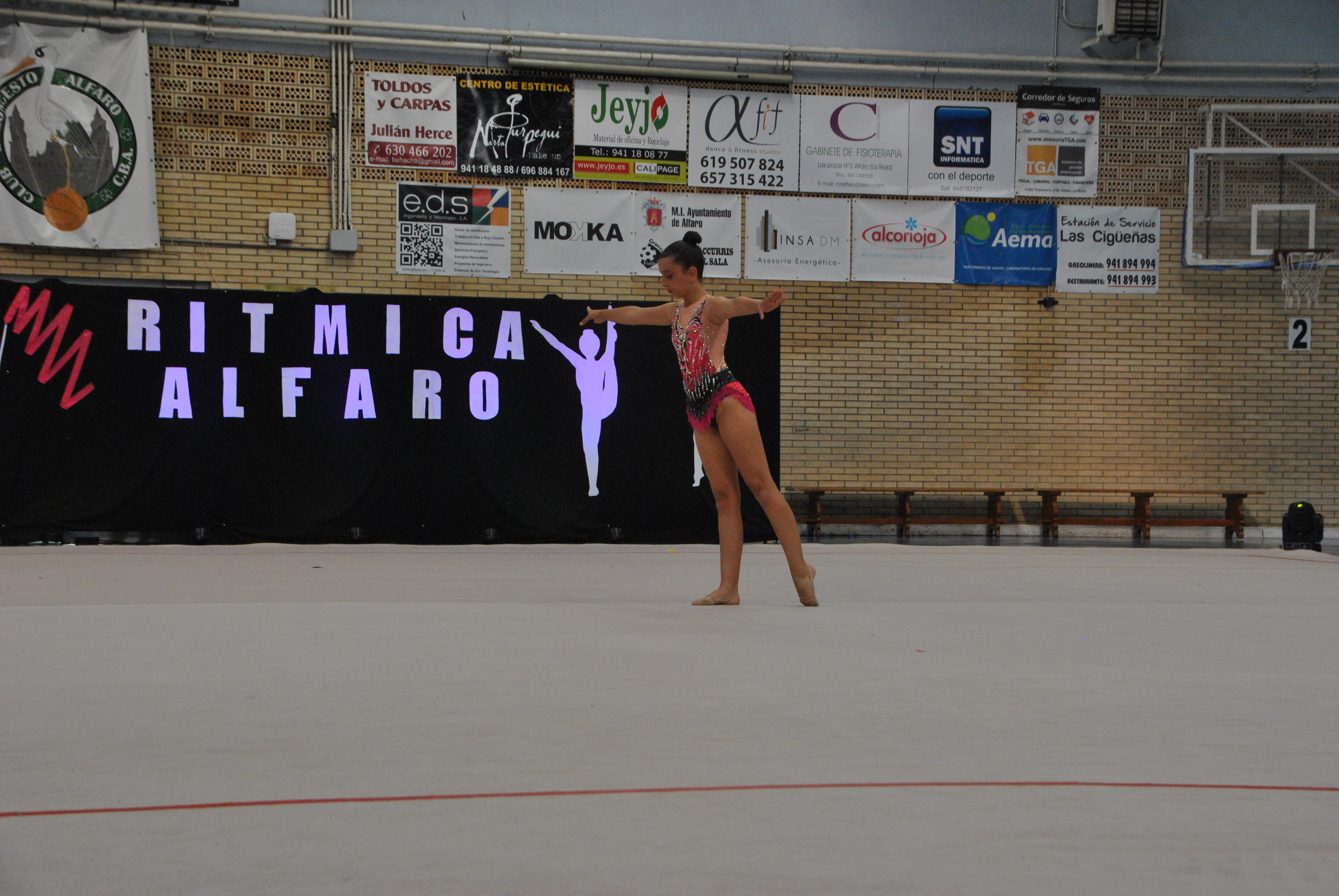 Exhibicion club ritmica Alfaro junio 18 381