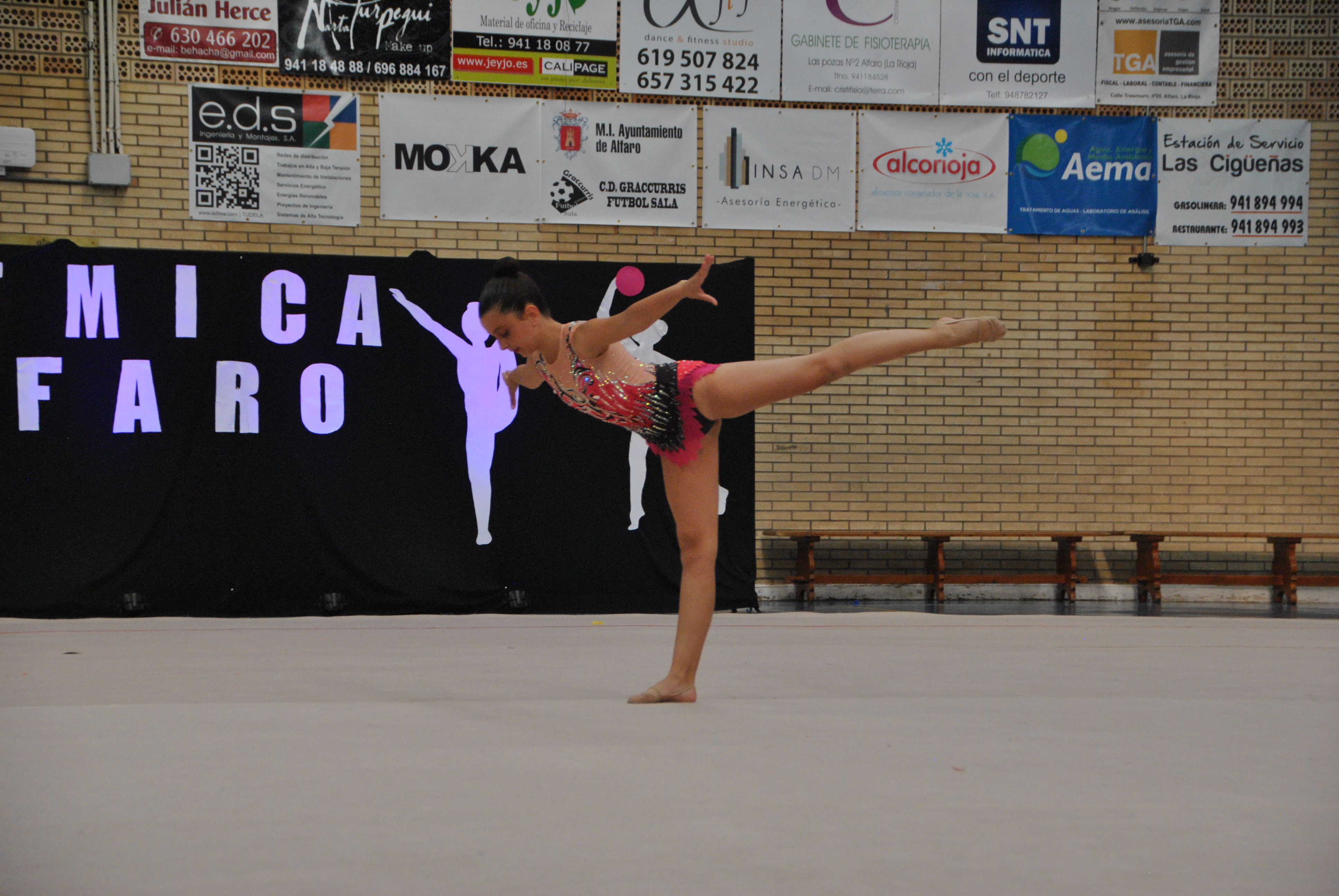 Exhibicion club ritmica Alfaro junio 18 382