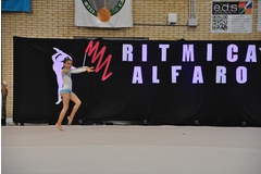 Exhibicion club ritmica Alfaro junio 18 413