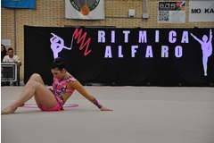 Exhibicion club ritmica Alfaro junio 18 425