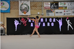 Exhibicion club ritmica Alfaro junio 18 431