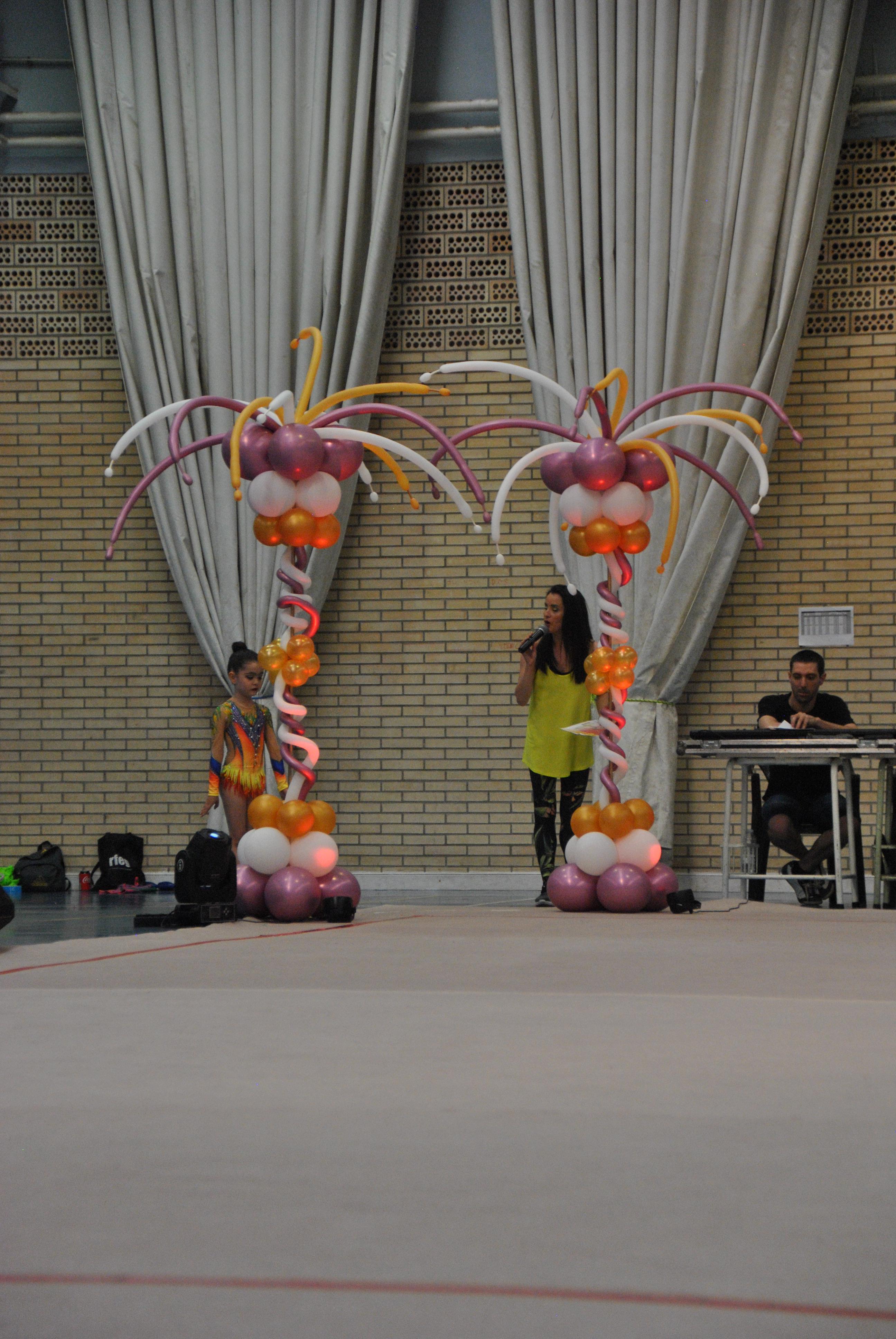 Exhibicion club ritmica Alfaro junio 18 454