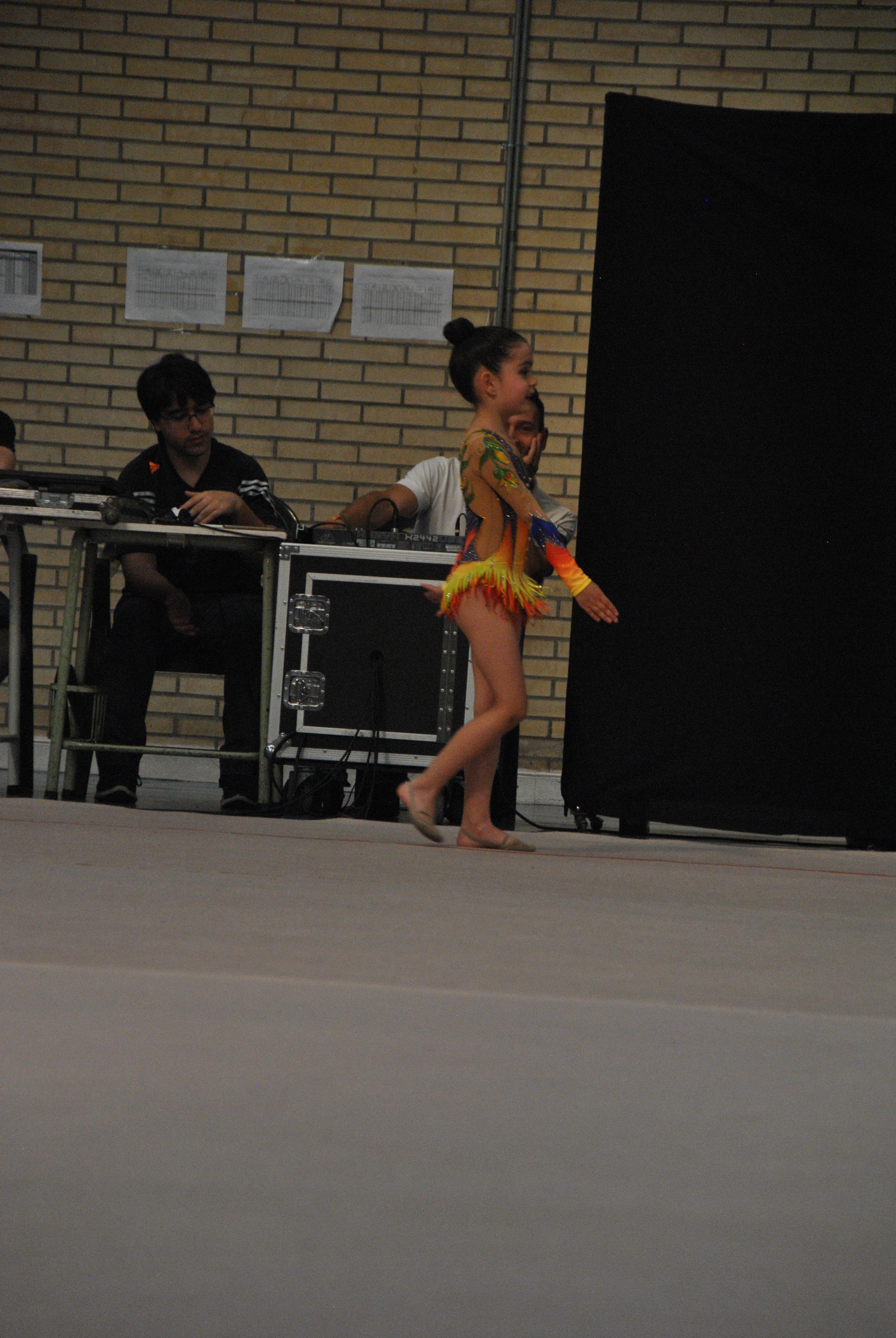 Exhibicion club ritmica Alfaro junio 18 455