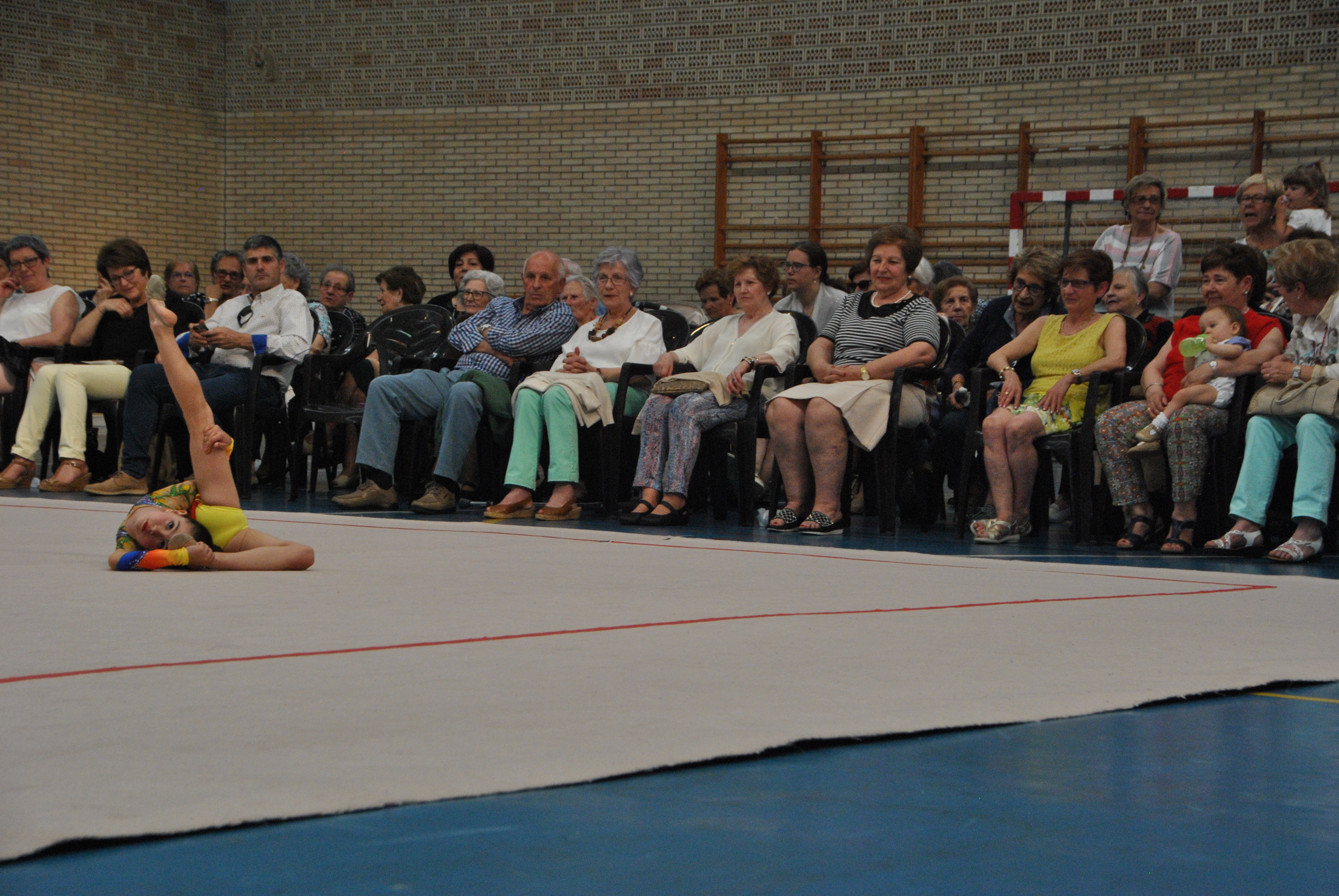 Exhibicion club ritmica Alfaro junio 18 459