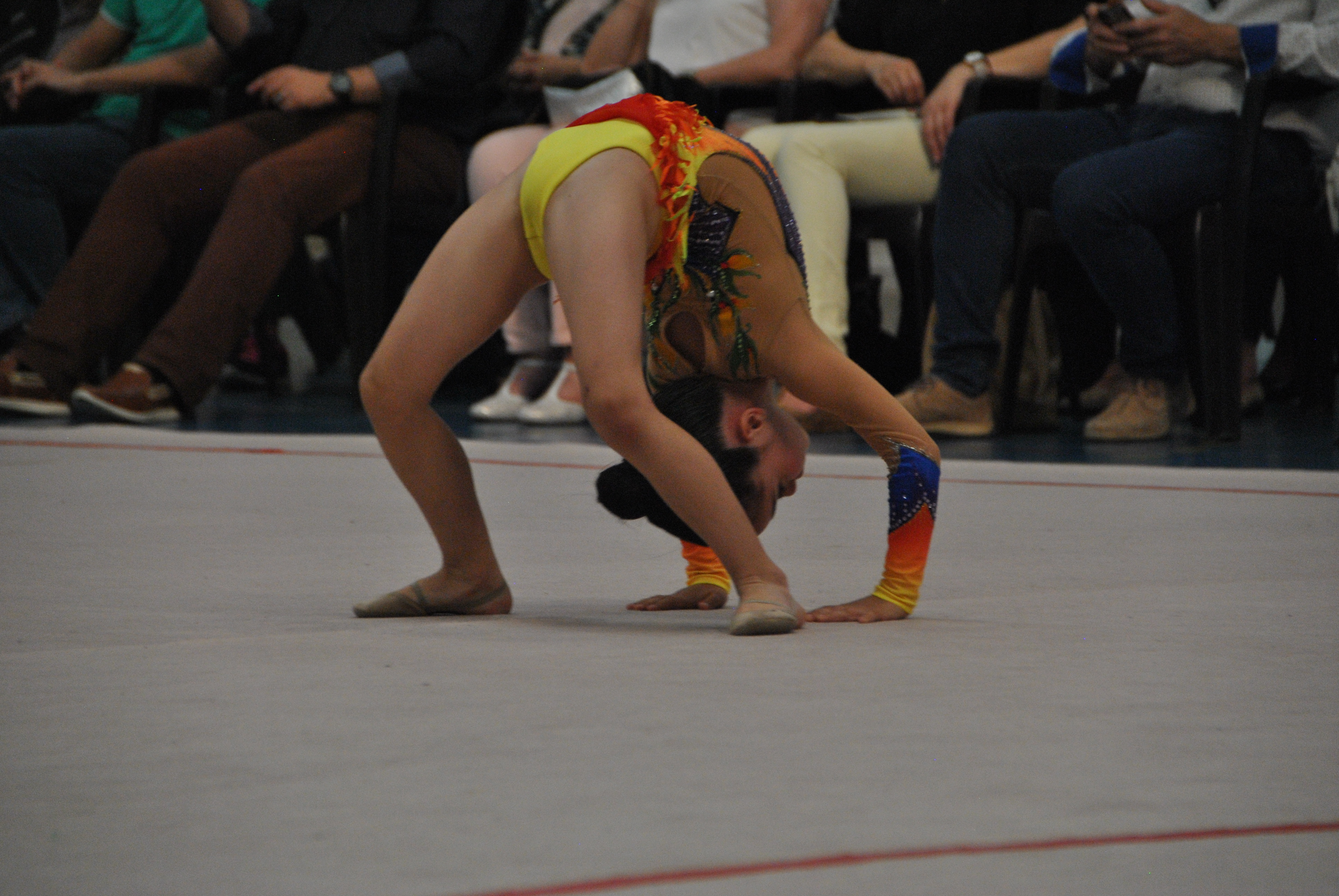 Exhibicion club ritmica Alfaro junio 18 462