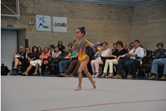 Exhibicion club ritmica Alfaro junio 18 463