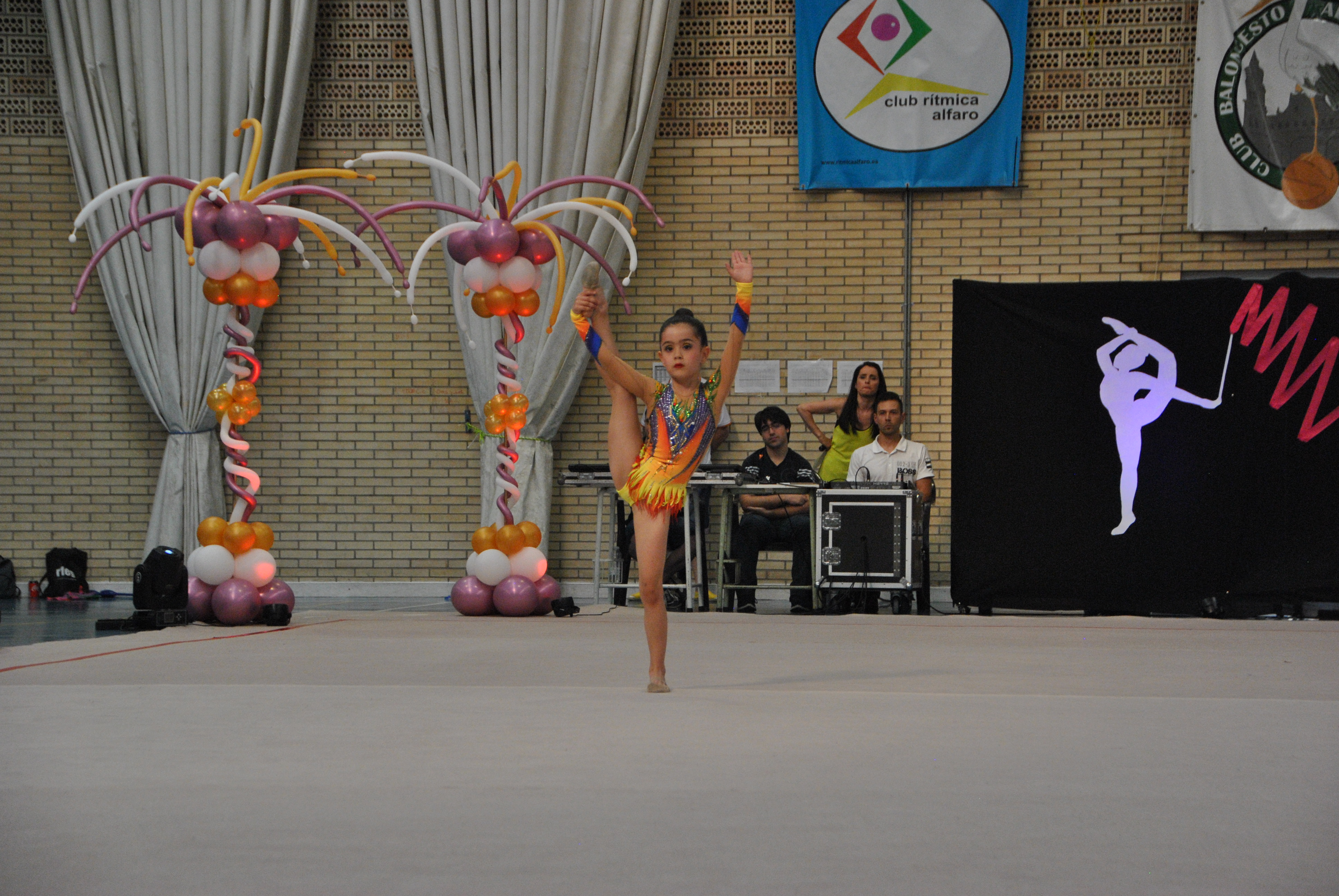 Exhibicion club ritmica Alfaro junio 18 468