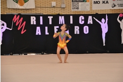 Exhibicion club ritmica Alfaro junio 18 470