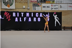 Exhibicion club ritmica Alfaro junio 18 471