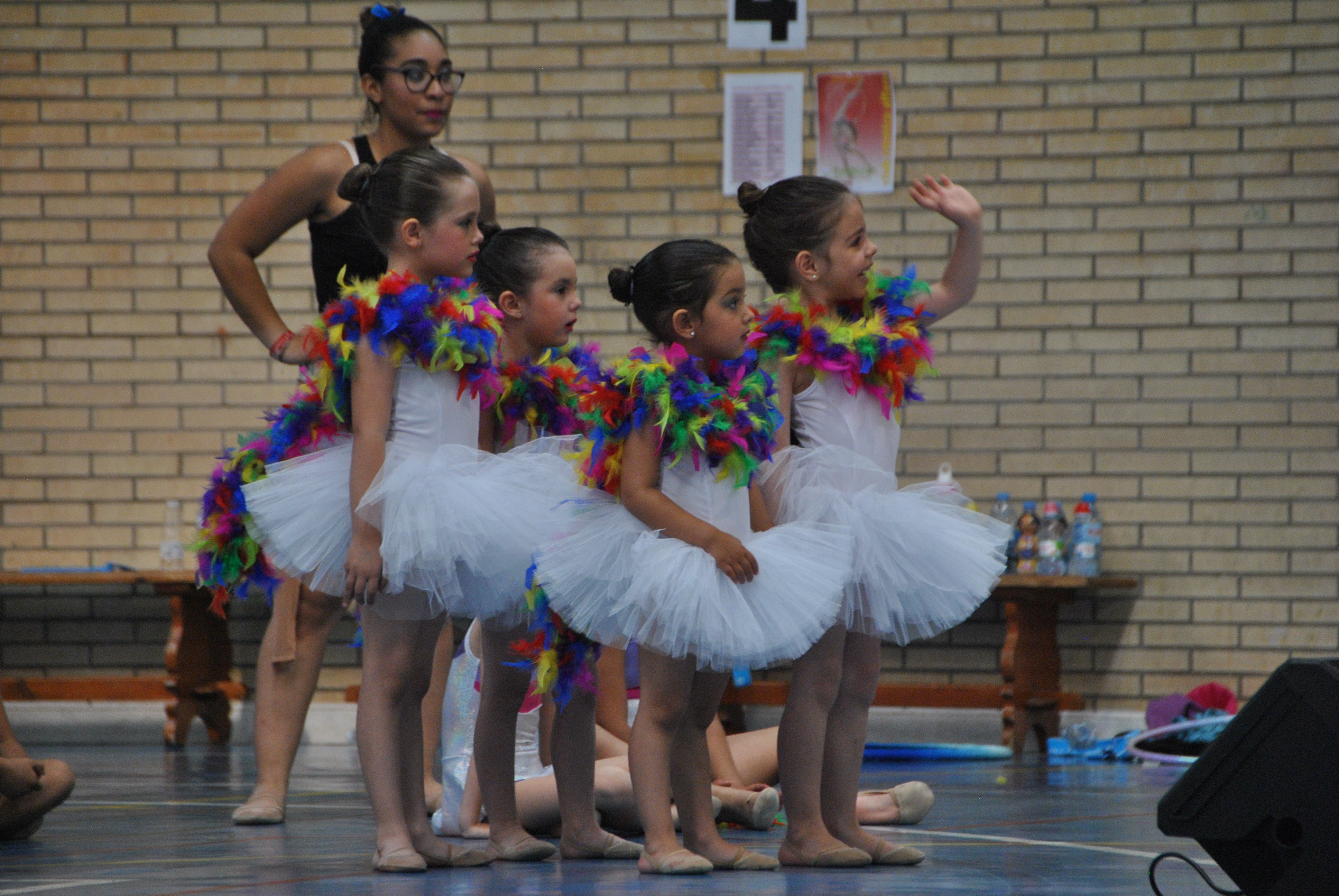 Exhibicion club ritmica Alfaro junio 18 488