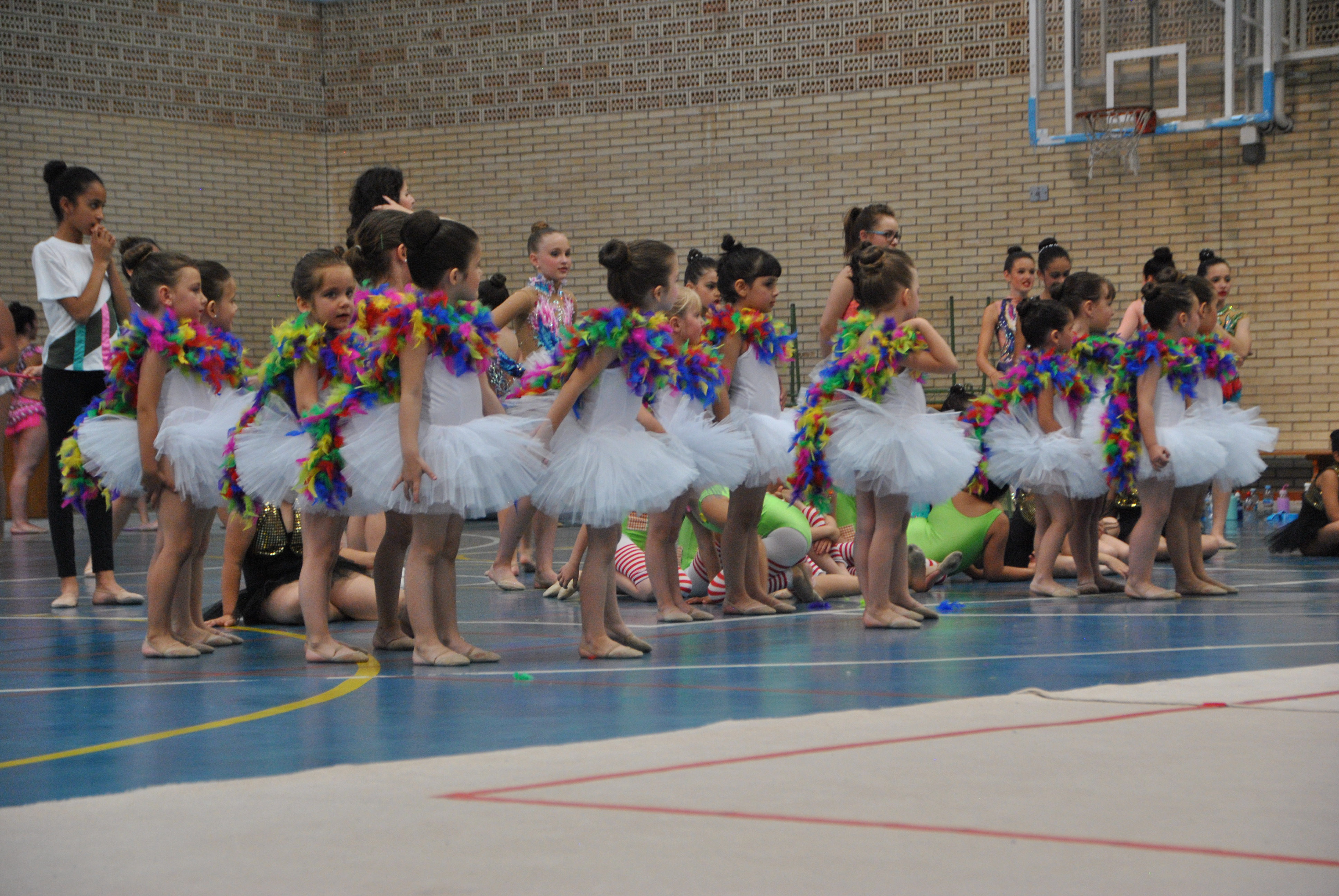 Exhibicion club ritmica Alfaro junio 18 490