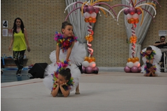 Exhibicion club ritmica Alfaro junio 18 493