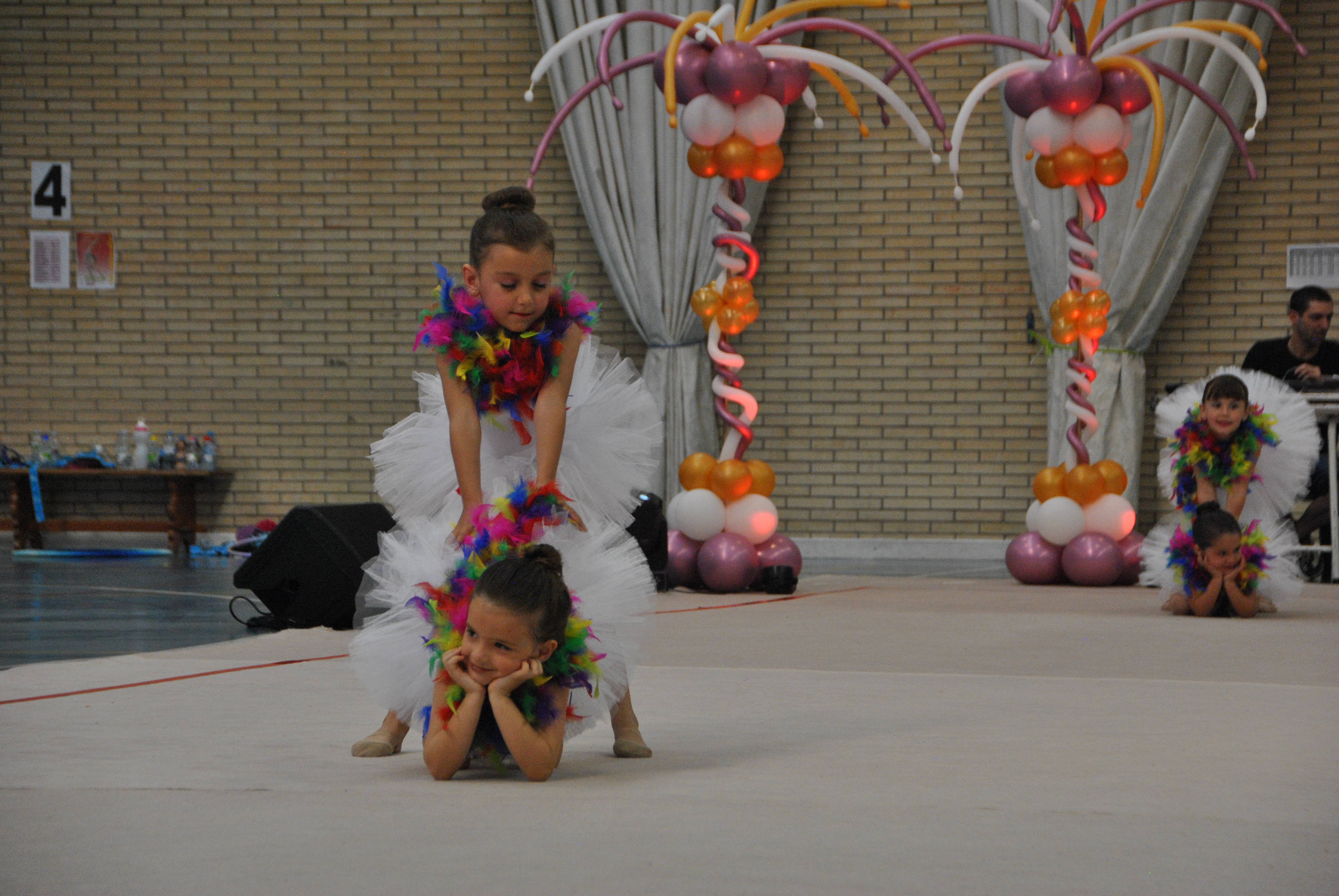 Exhibicion club ritmica Alfaro junio 18 494