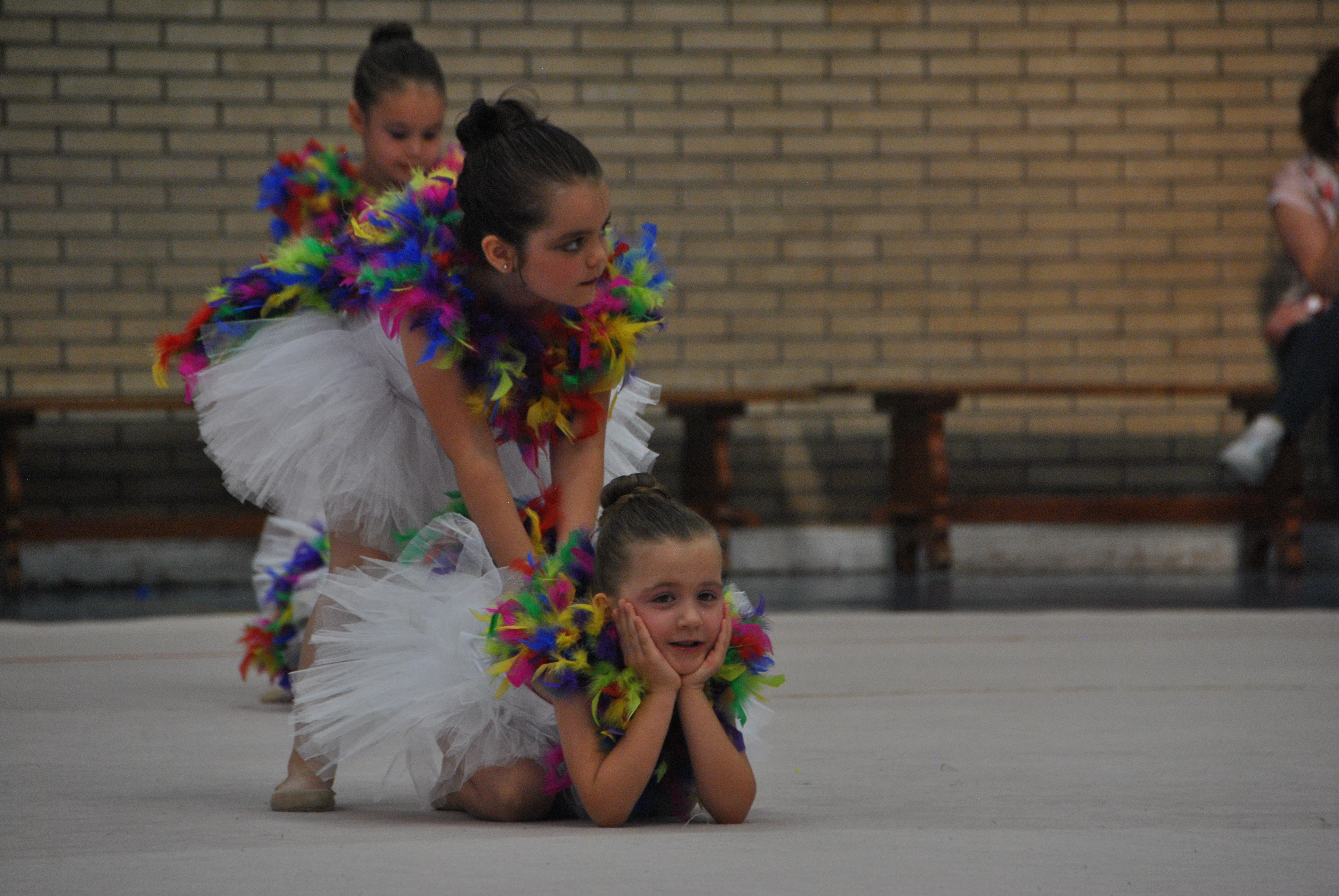 Exhibicion club ritmica Alfaro junio 18 499