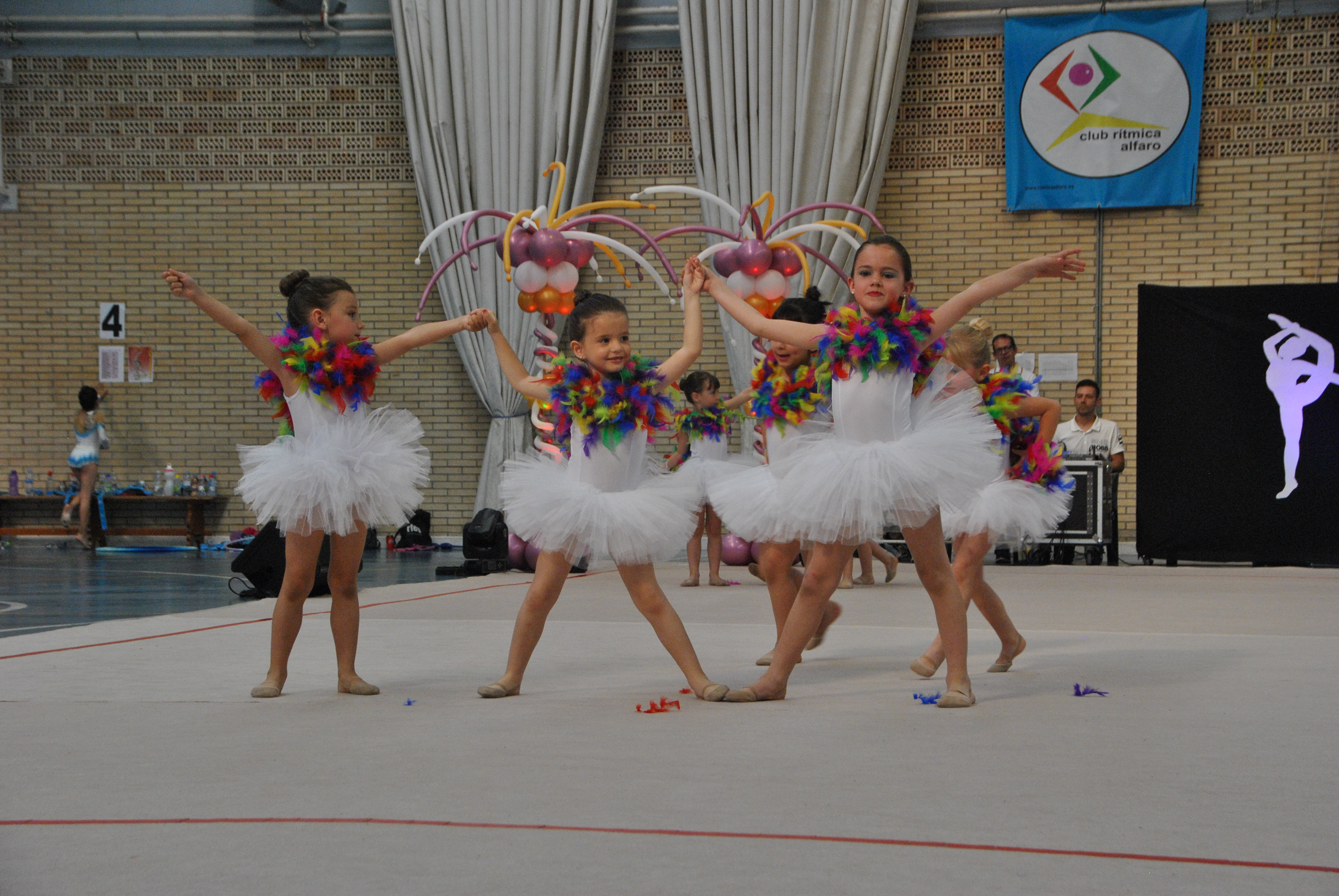 Exhibicion club ritmica Alfaro junio 18 503